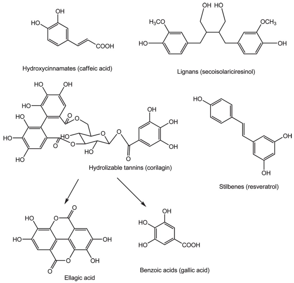 Nutrients 08 00078 g002 1024