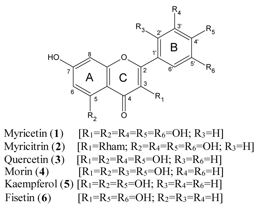 Nutrients Free Full Text Myricetin A Dietary Molecule With Diverse Biological Activities Html