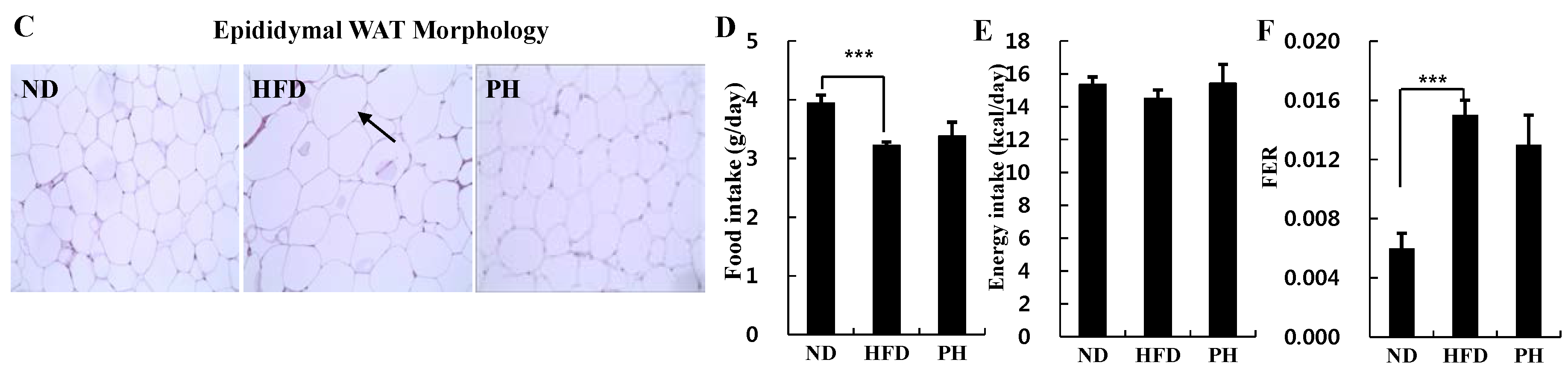 Nutrients 08 00092 g001b