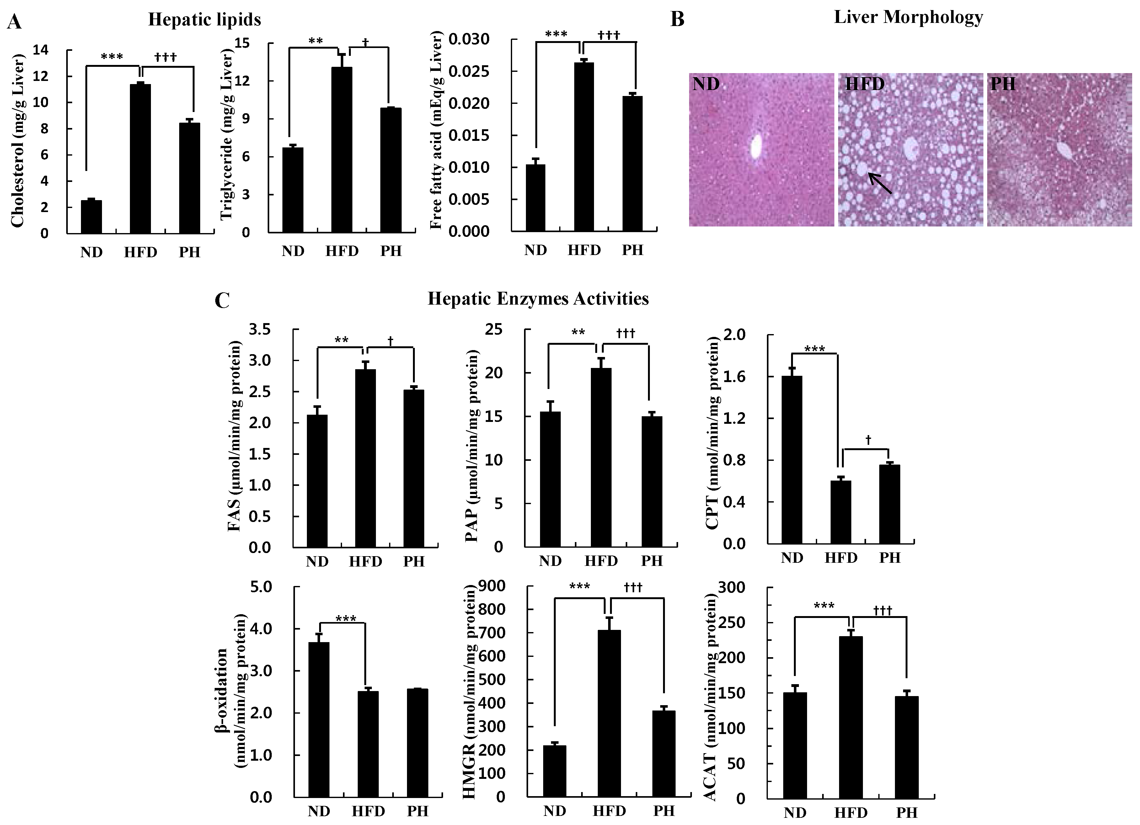 Nutrients 08 00092 g002