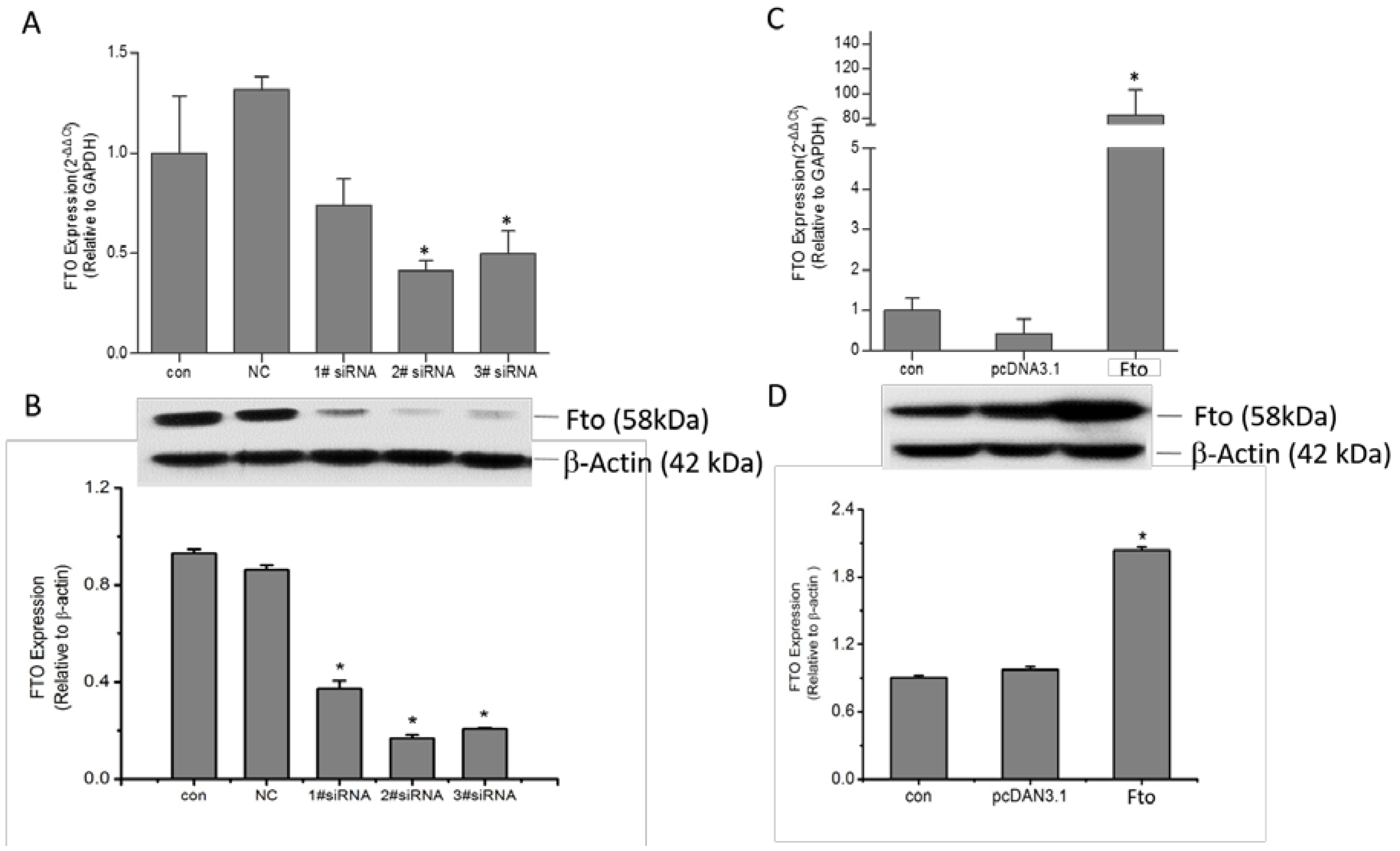 Nutrients 08 00102 g001