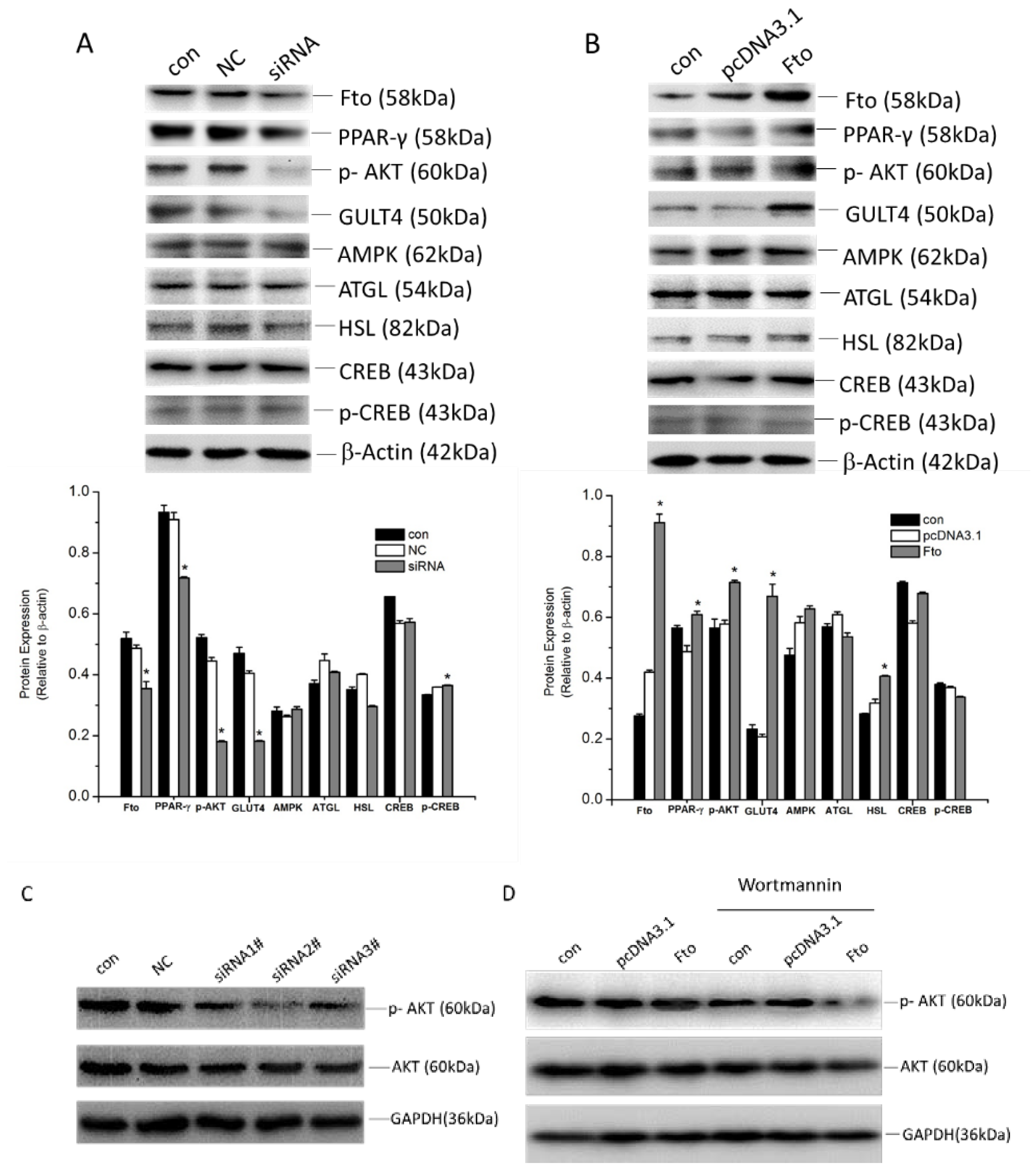 Nutrients 08 00102 g005