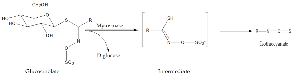 Nutrients 08 00156 g001 1024
