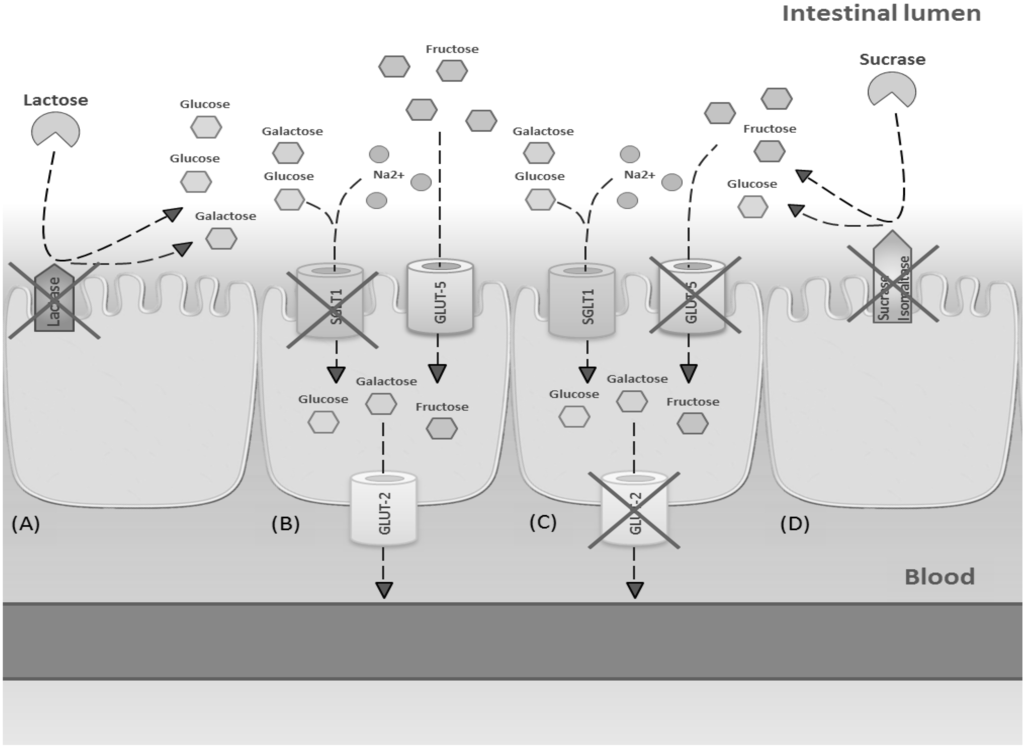 Nutrients 08 00157 g003 1024