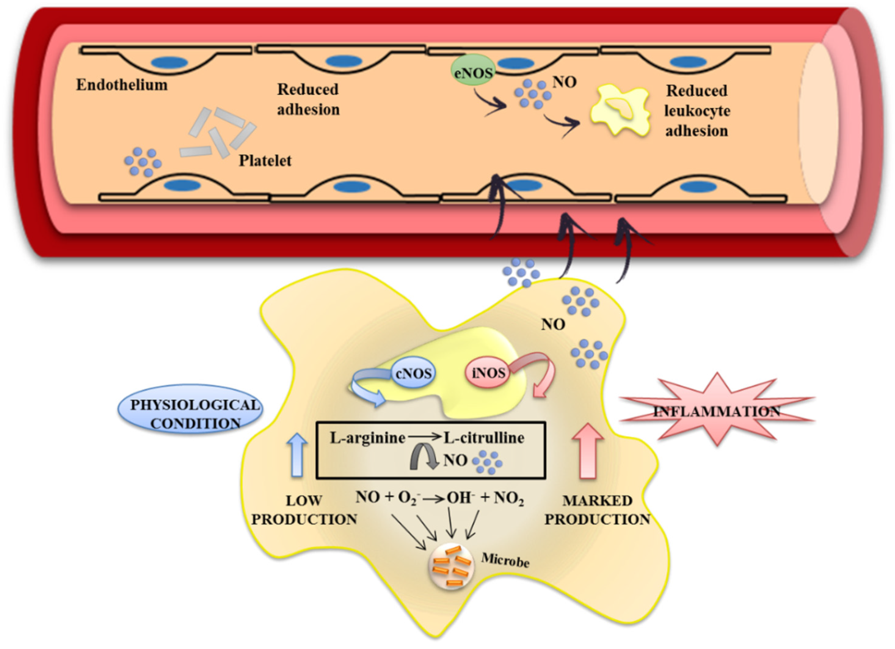 Nutrients 08 00211 g003