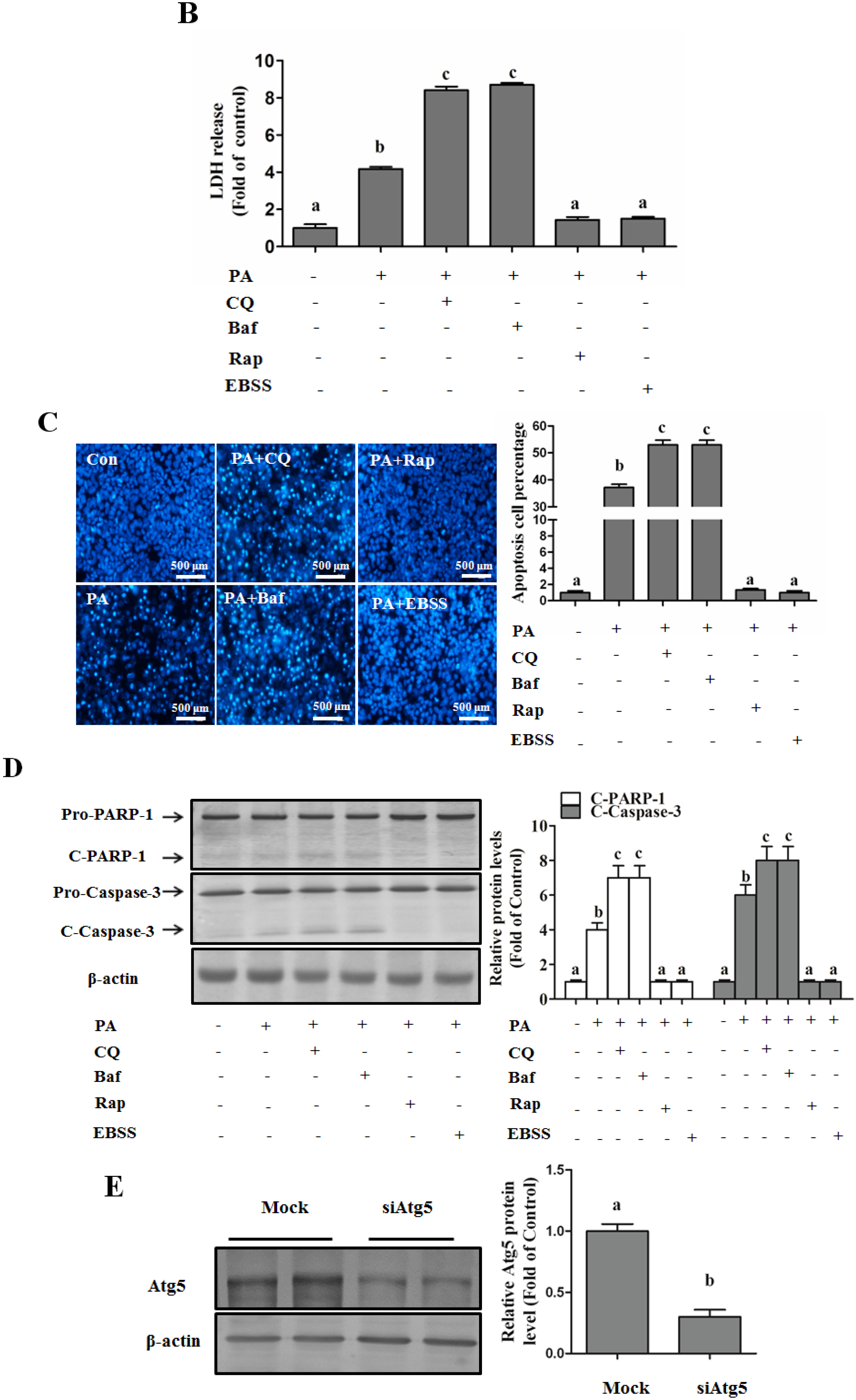 Nutrients 08 00227 g002b