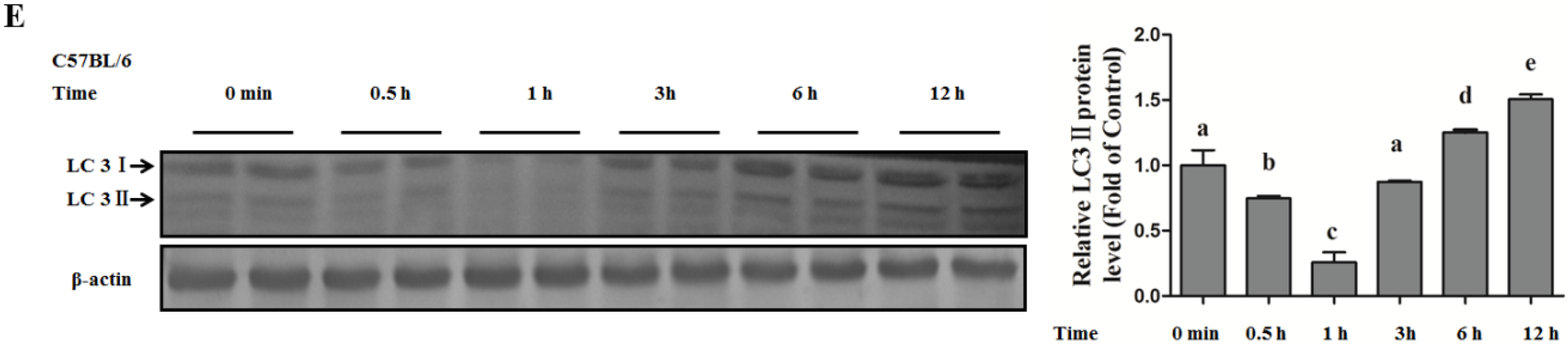 Nutrients 08 00227 g004b