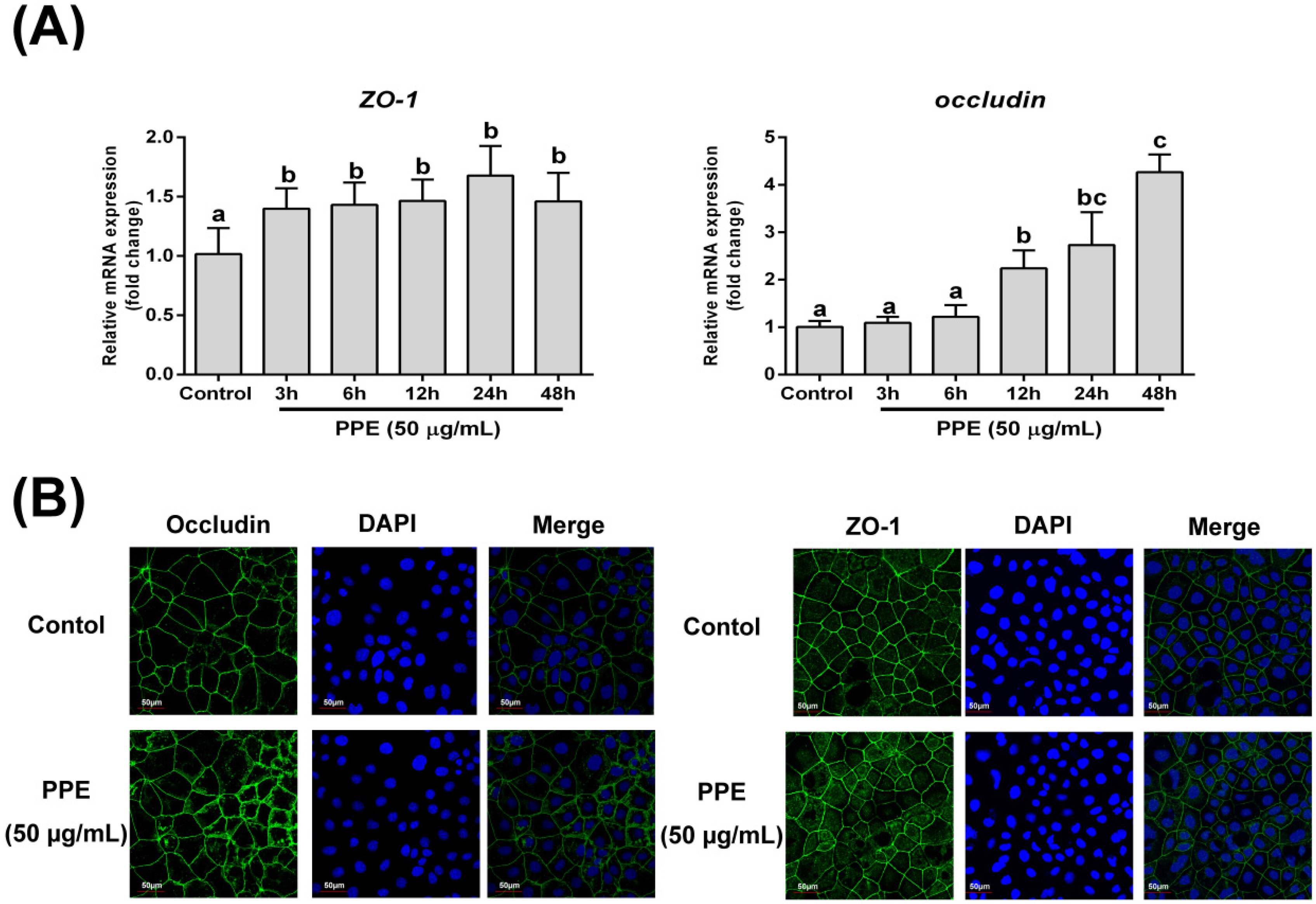 Nutrients 08 00272 g002