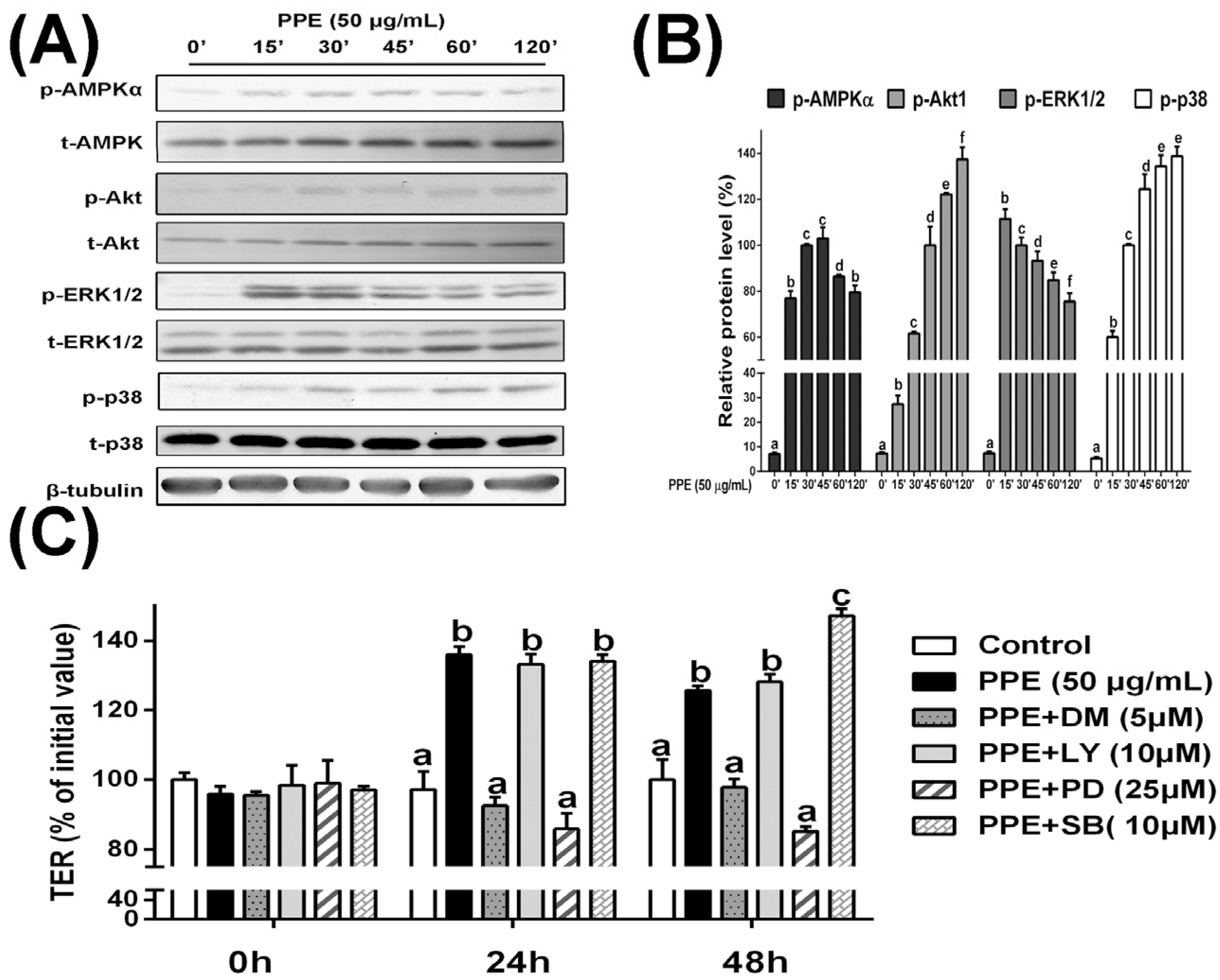 Nutrients 08 00272 g003