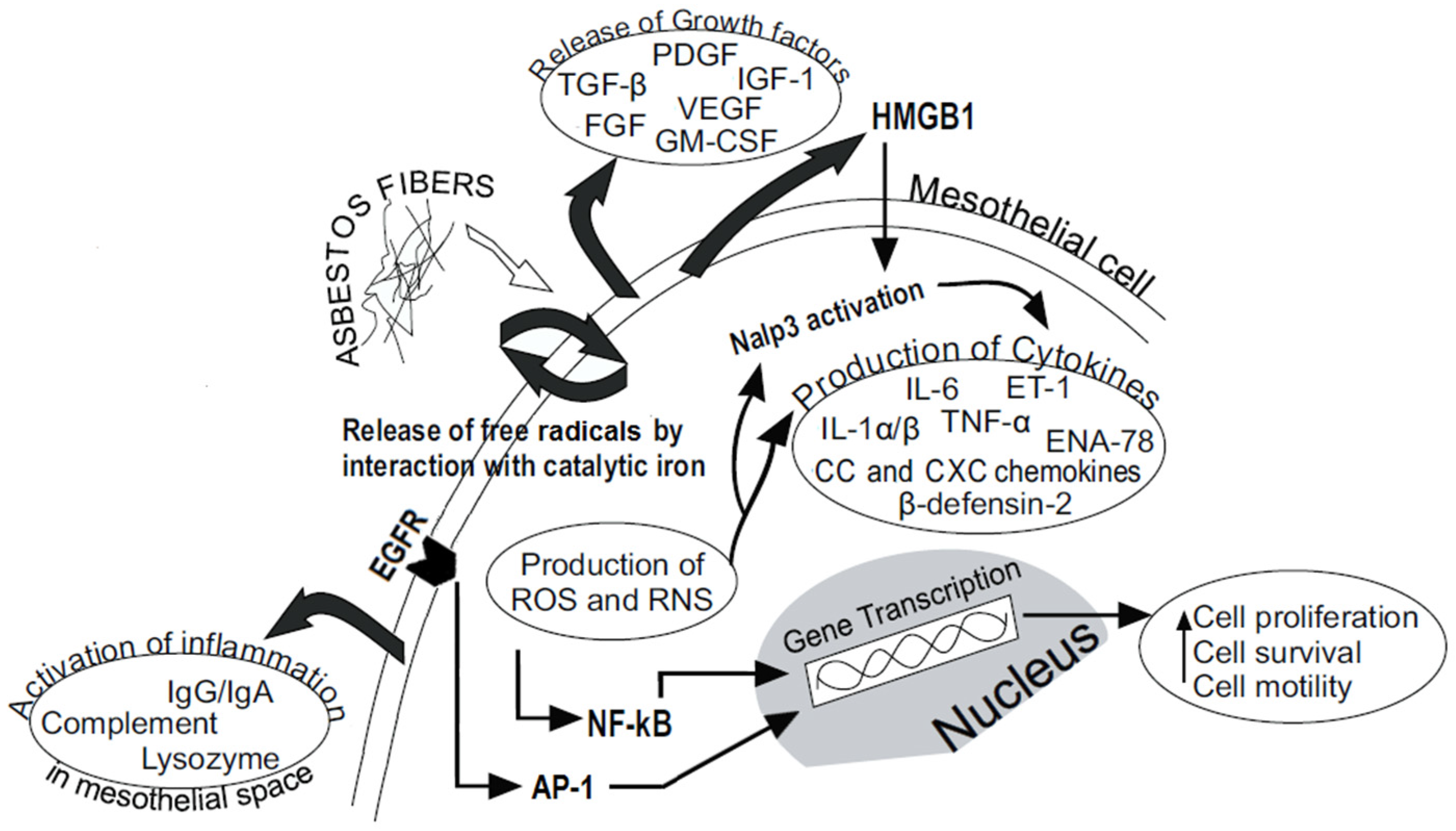 Nutrients 08 00275 g001