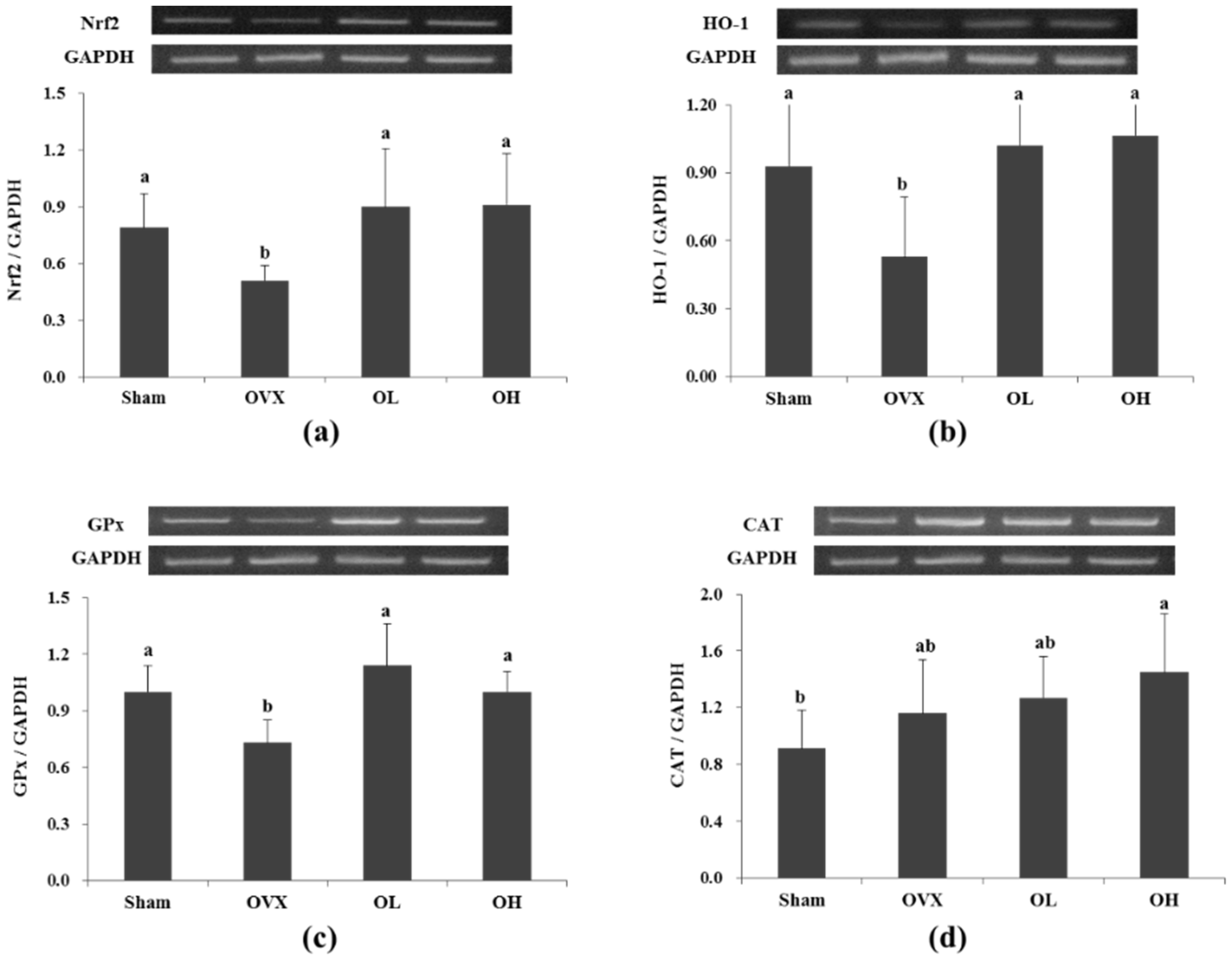 Nutrients 08 00283 g006