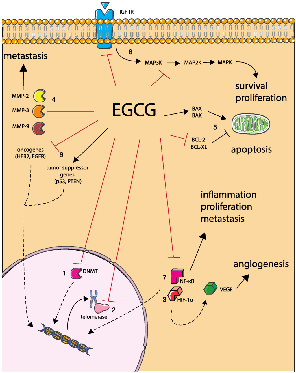 Nutrients 08 00307 g002 1024