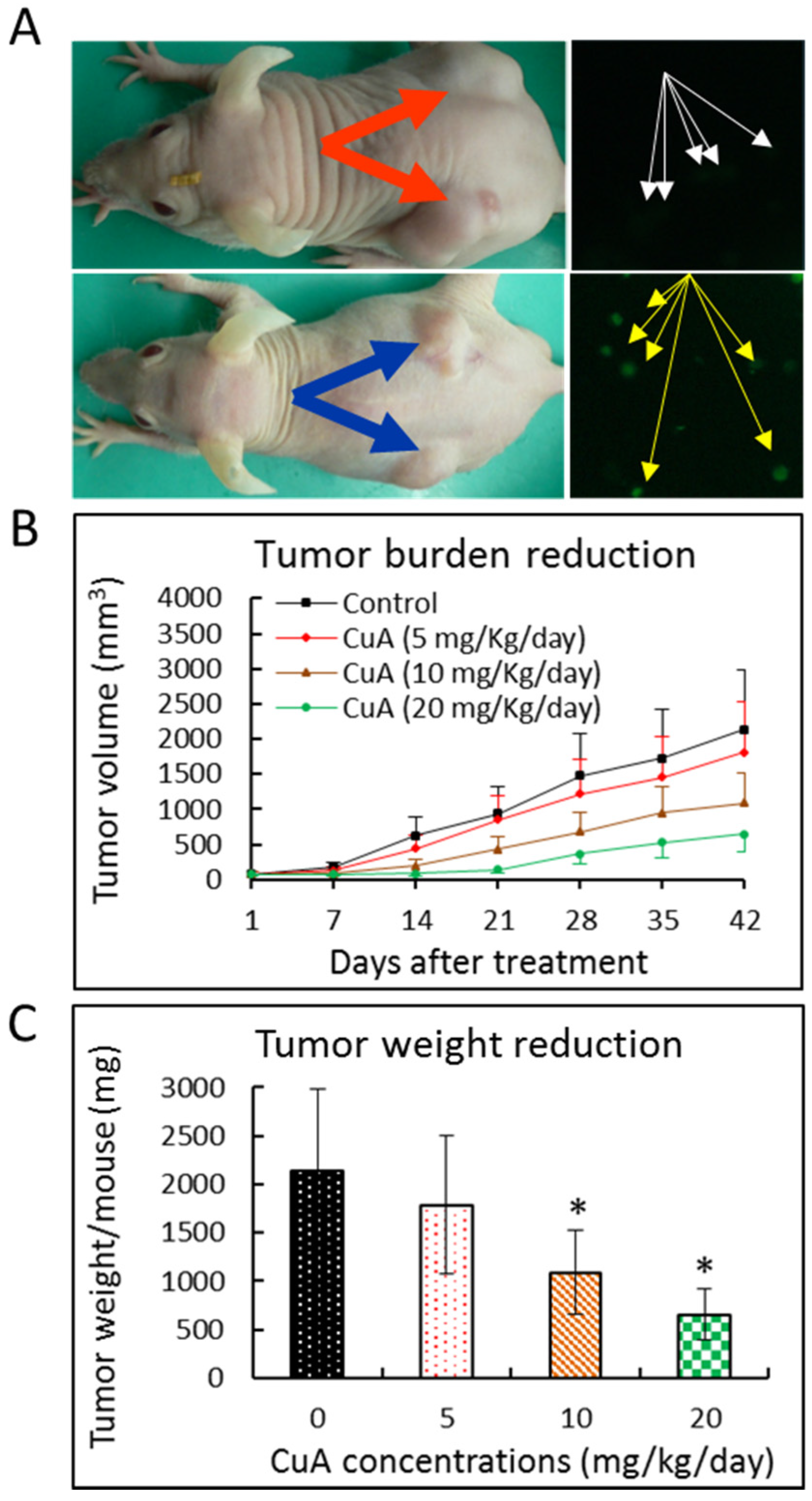 Nutrients 08 00318 g006