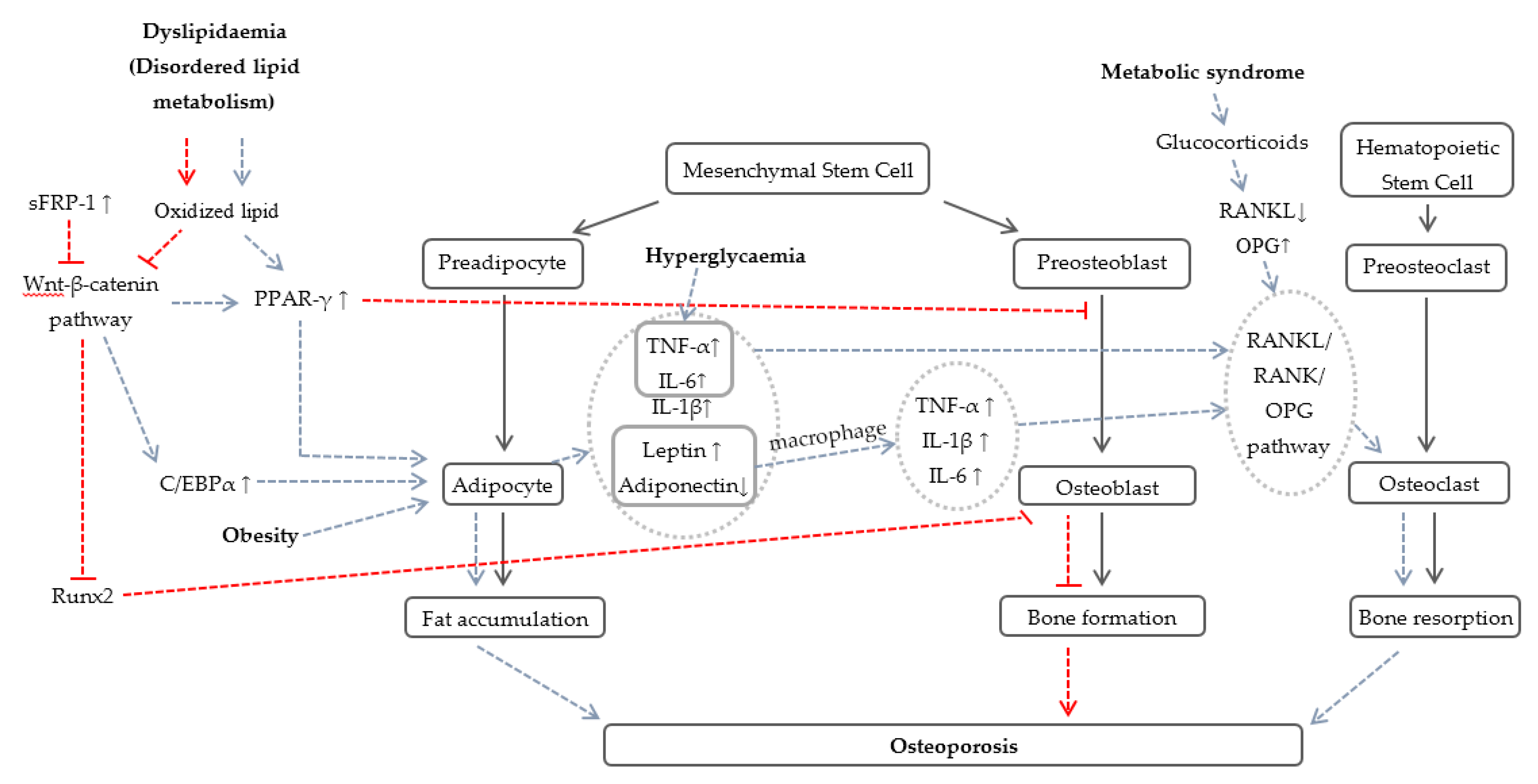 Nutrients 08 00347 g001
