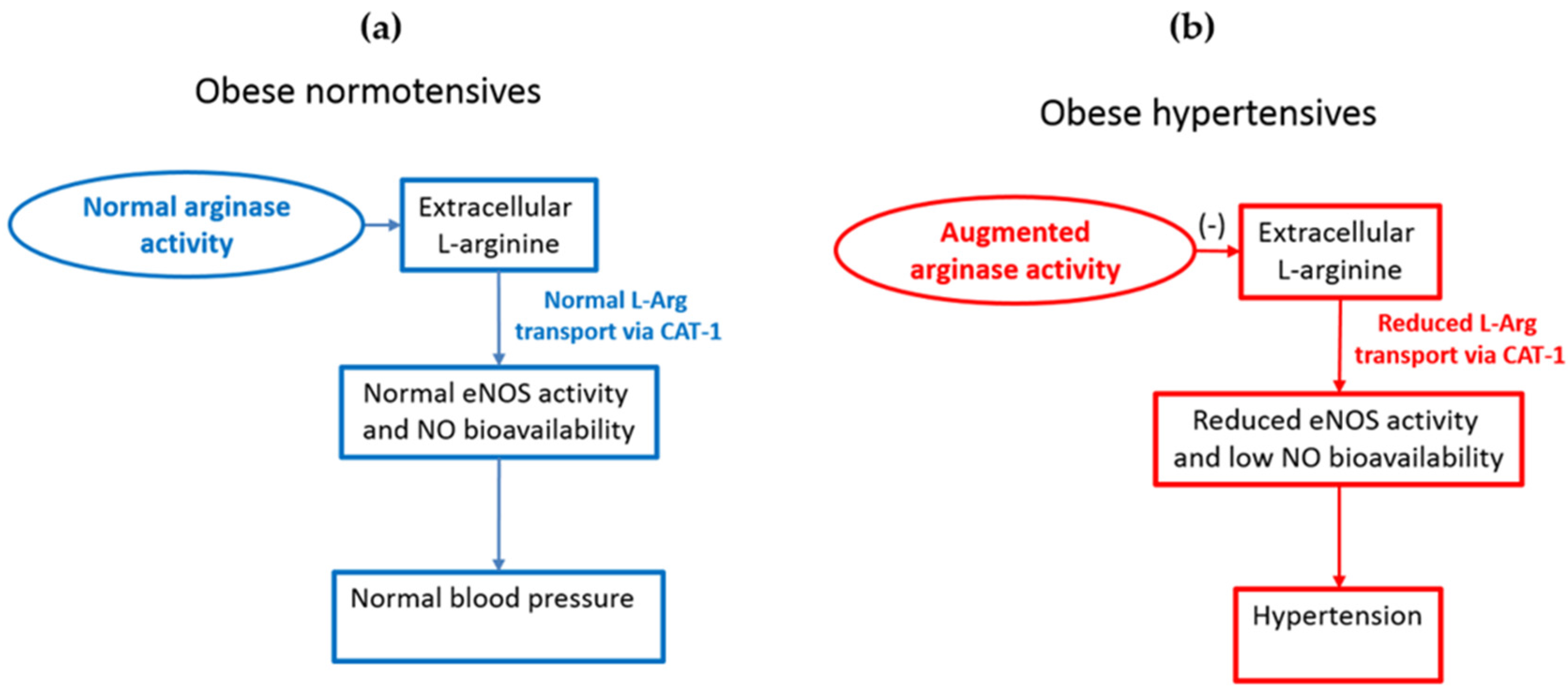 Nutrients 08 00364 g001