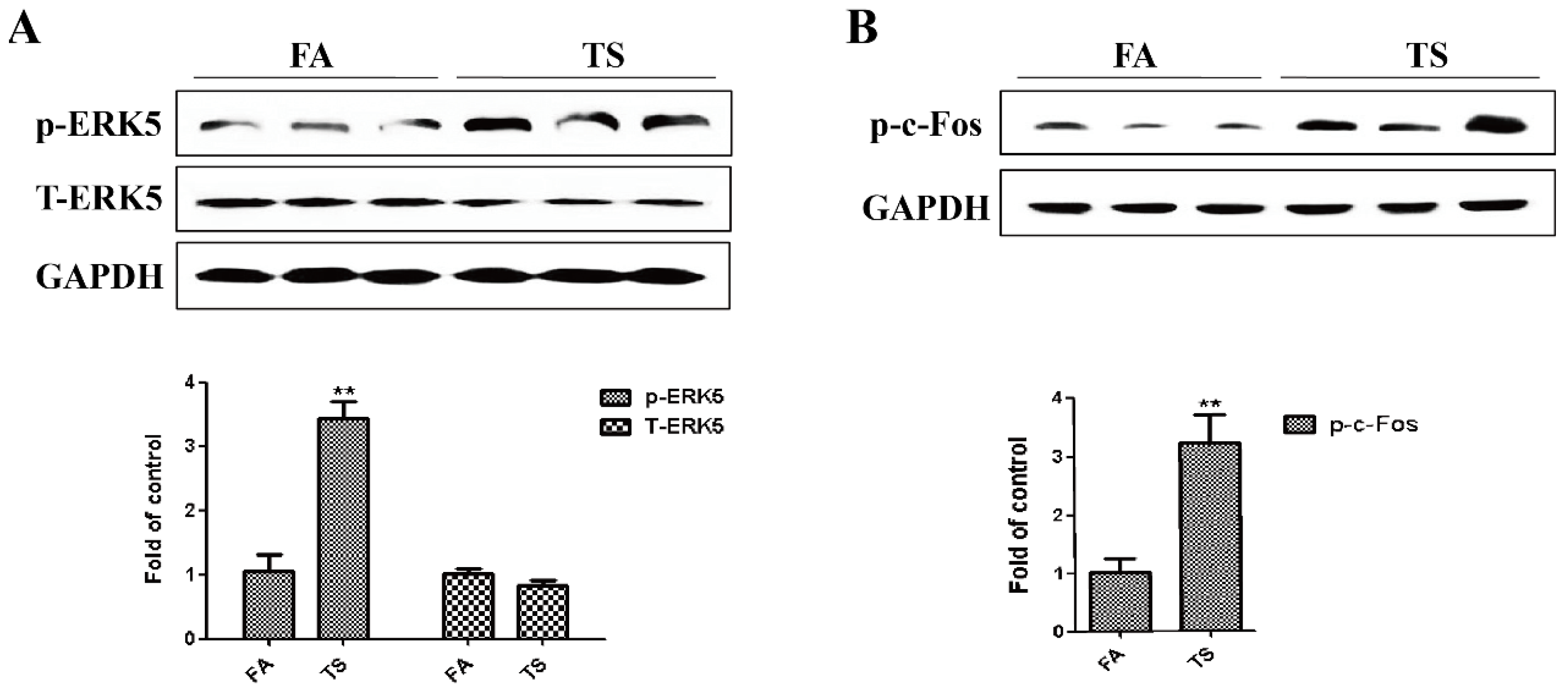 Nutrients 08 00380 g002