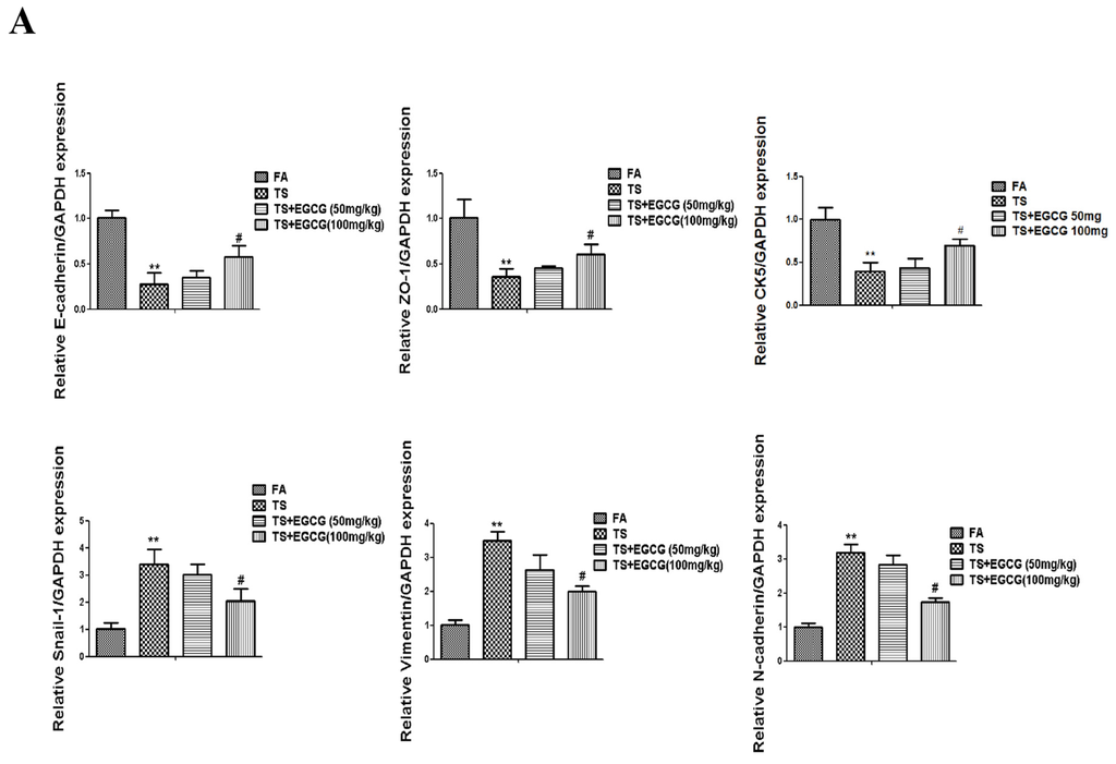 Nutrients 08 00380 g005a 1024