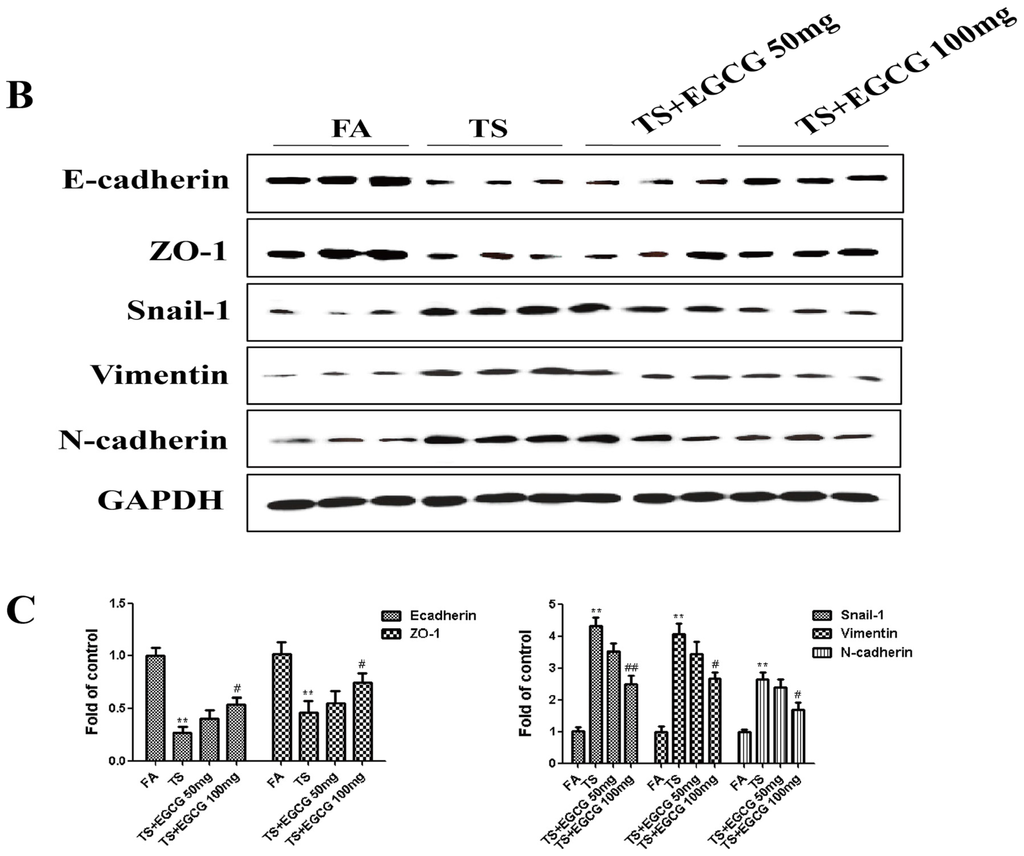 Nutrients 08 00380 g005b 1024