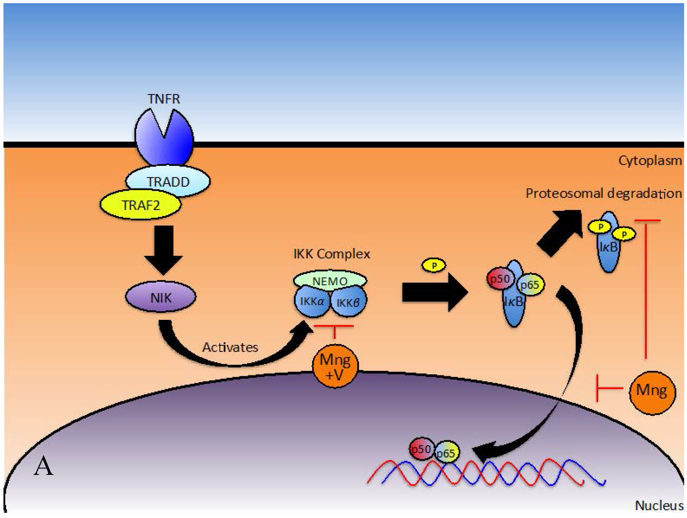 Nutrients 08 00396 g002a