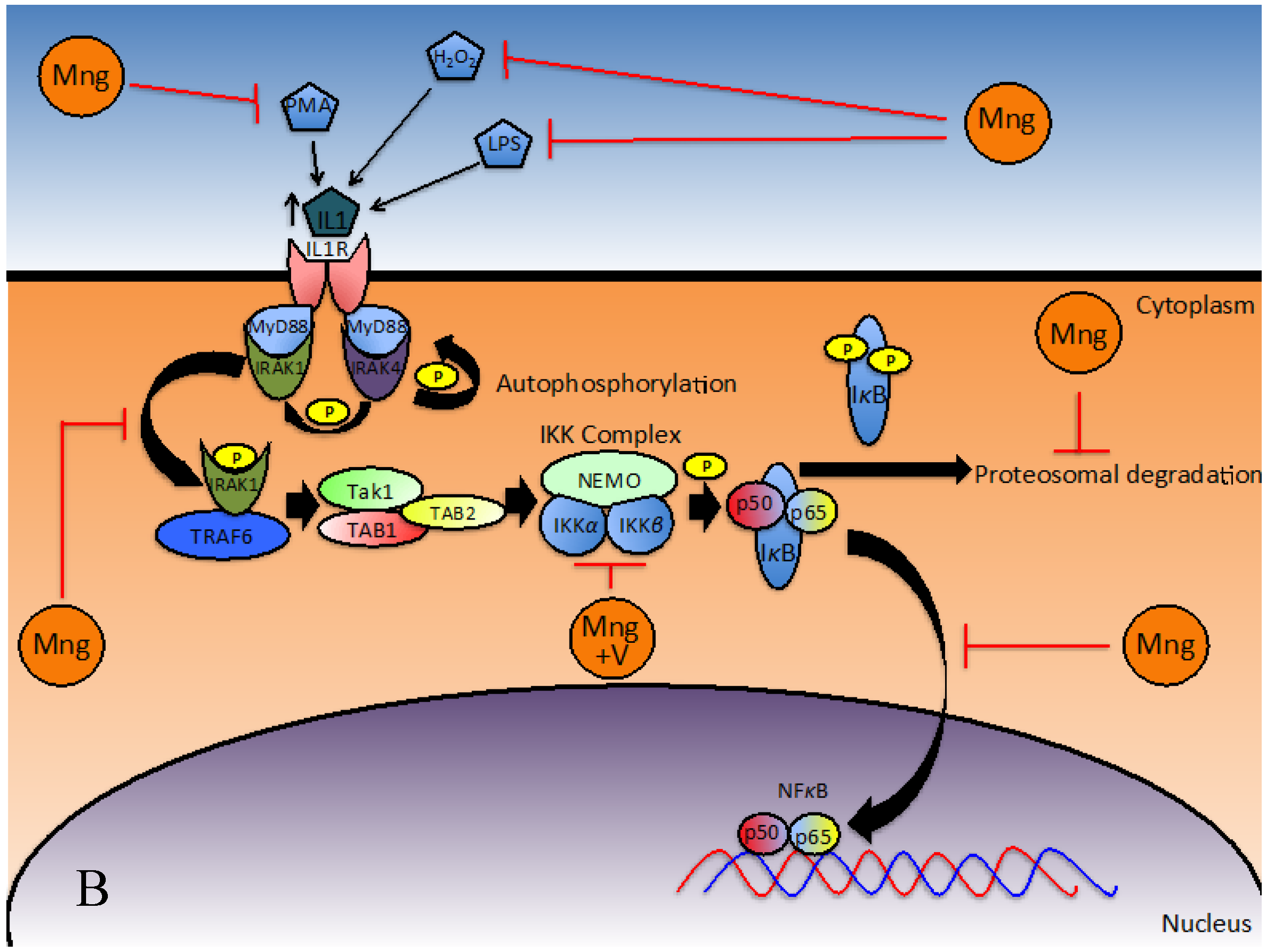Nutrients 08 00396 g002b