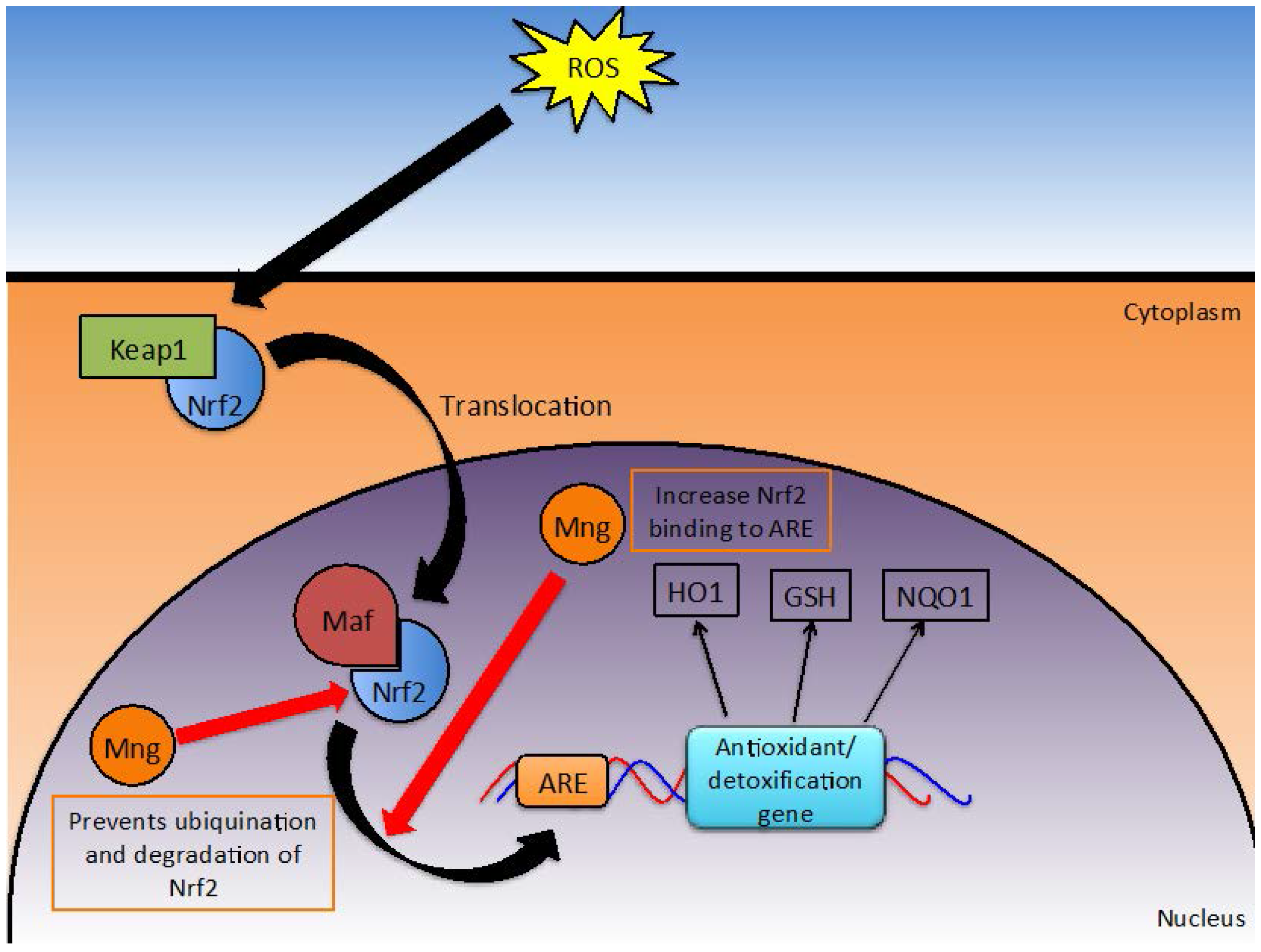 Nutrients 08 00396 g005