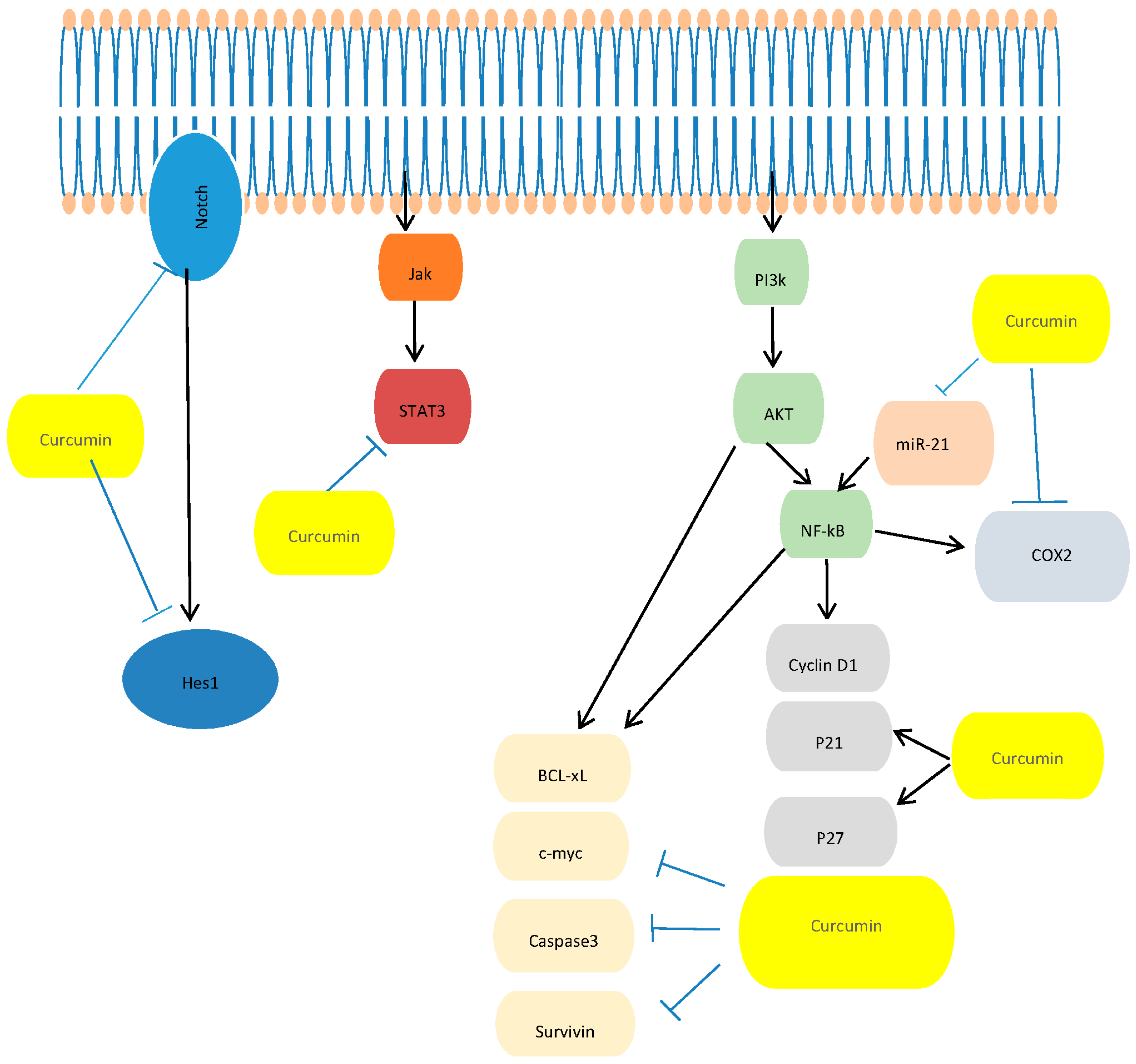Nutrients 08 00433 g001