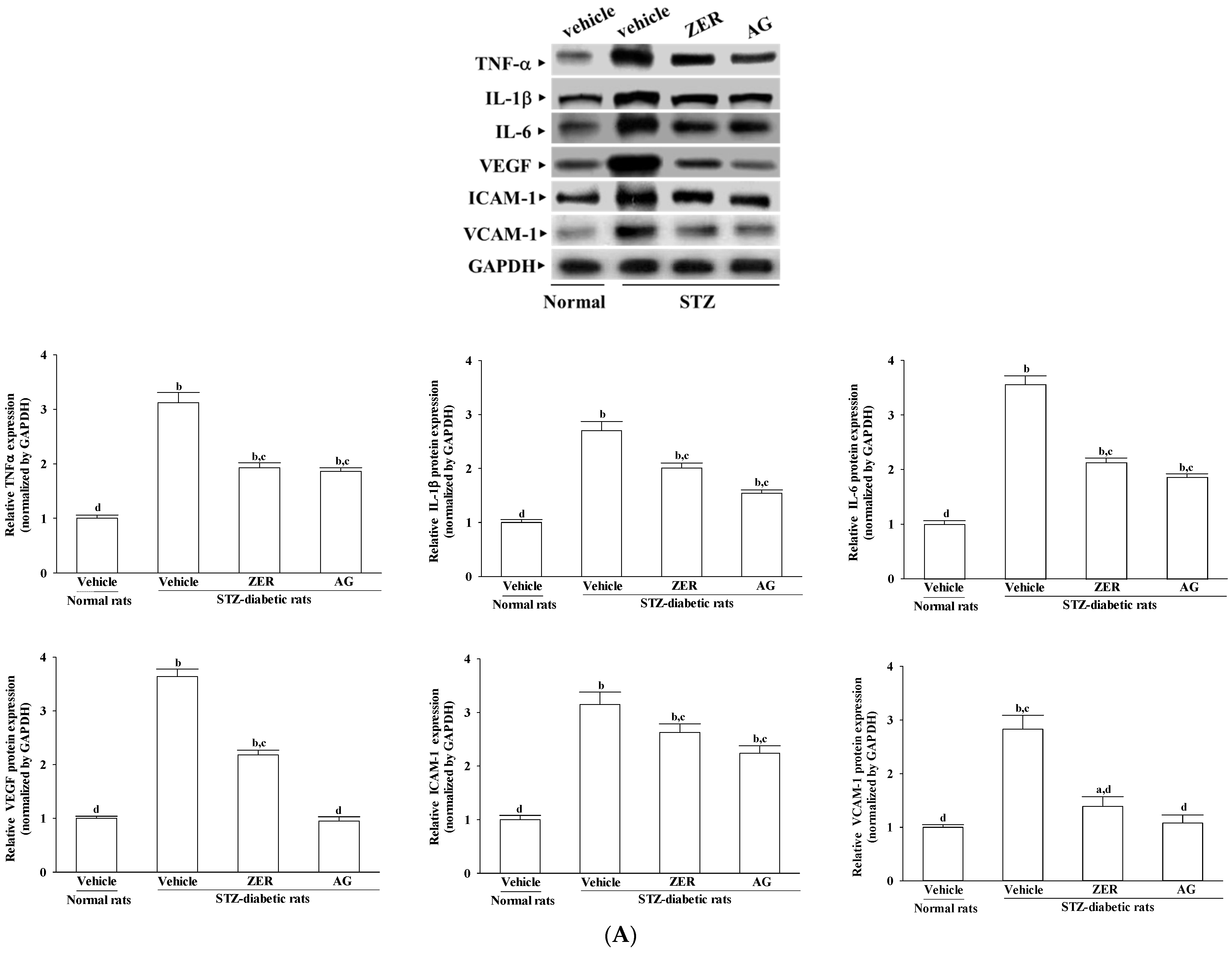 Nutrients 08 00449 g003a 1024