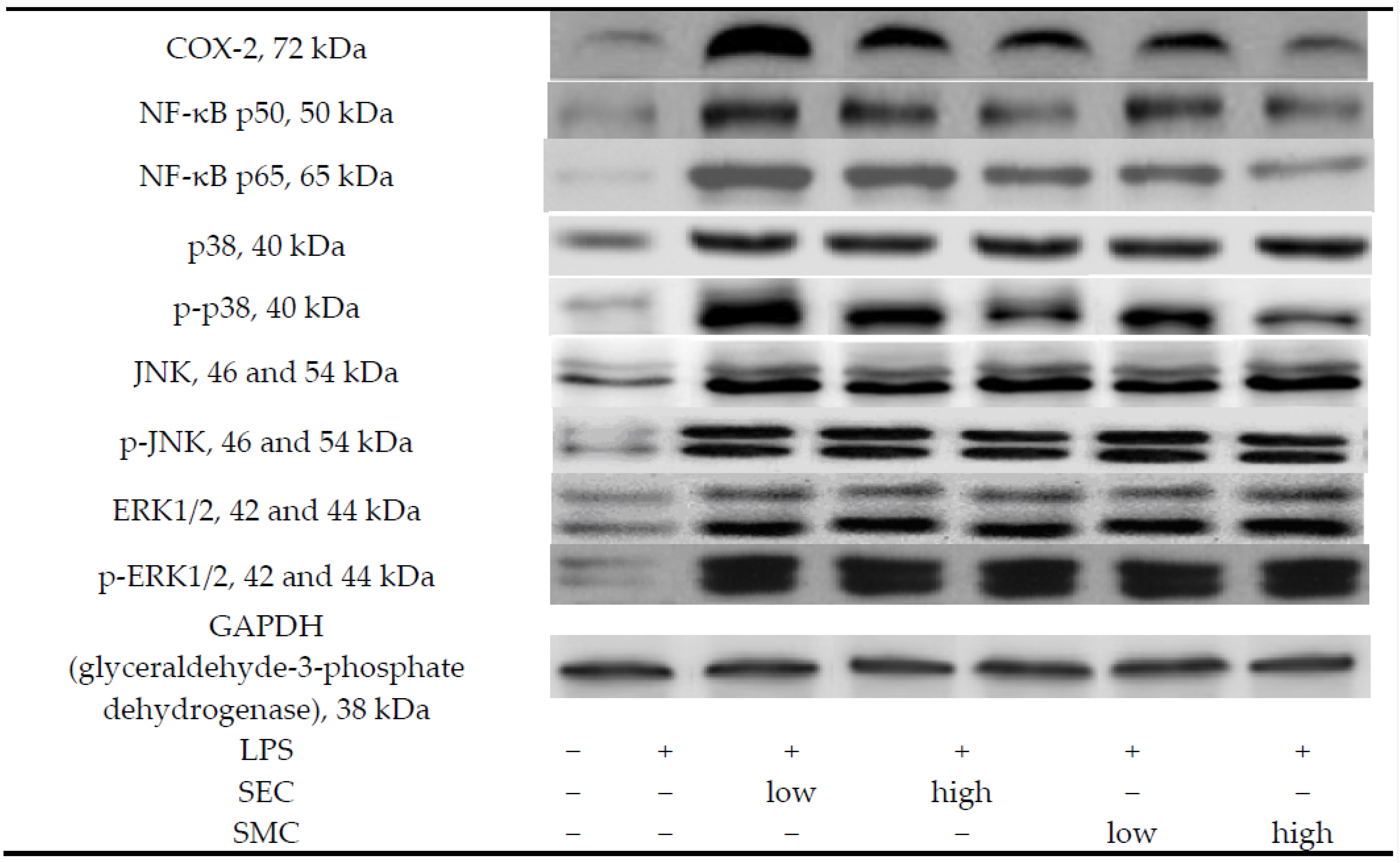 Nutrients 08 00507 g002a 1024