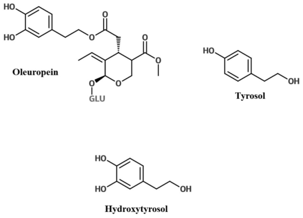 Nutrients 08 00513 g001 1024