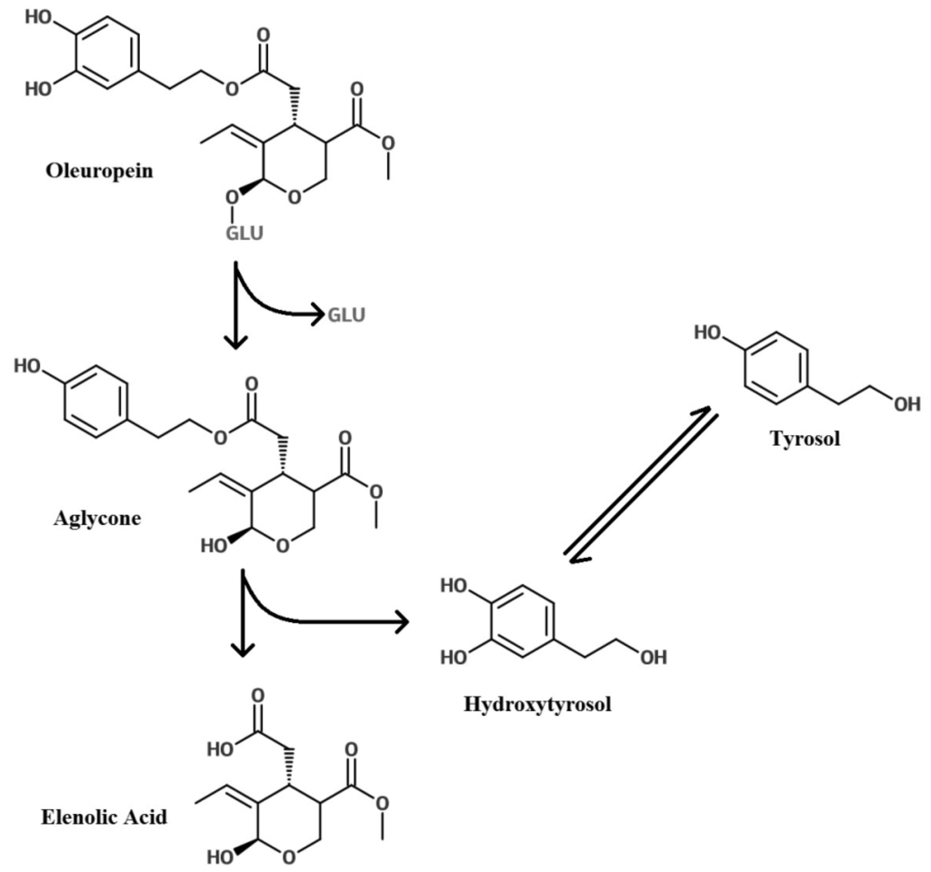 Nutrients 08 00513 g003 1024