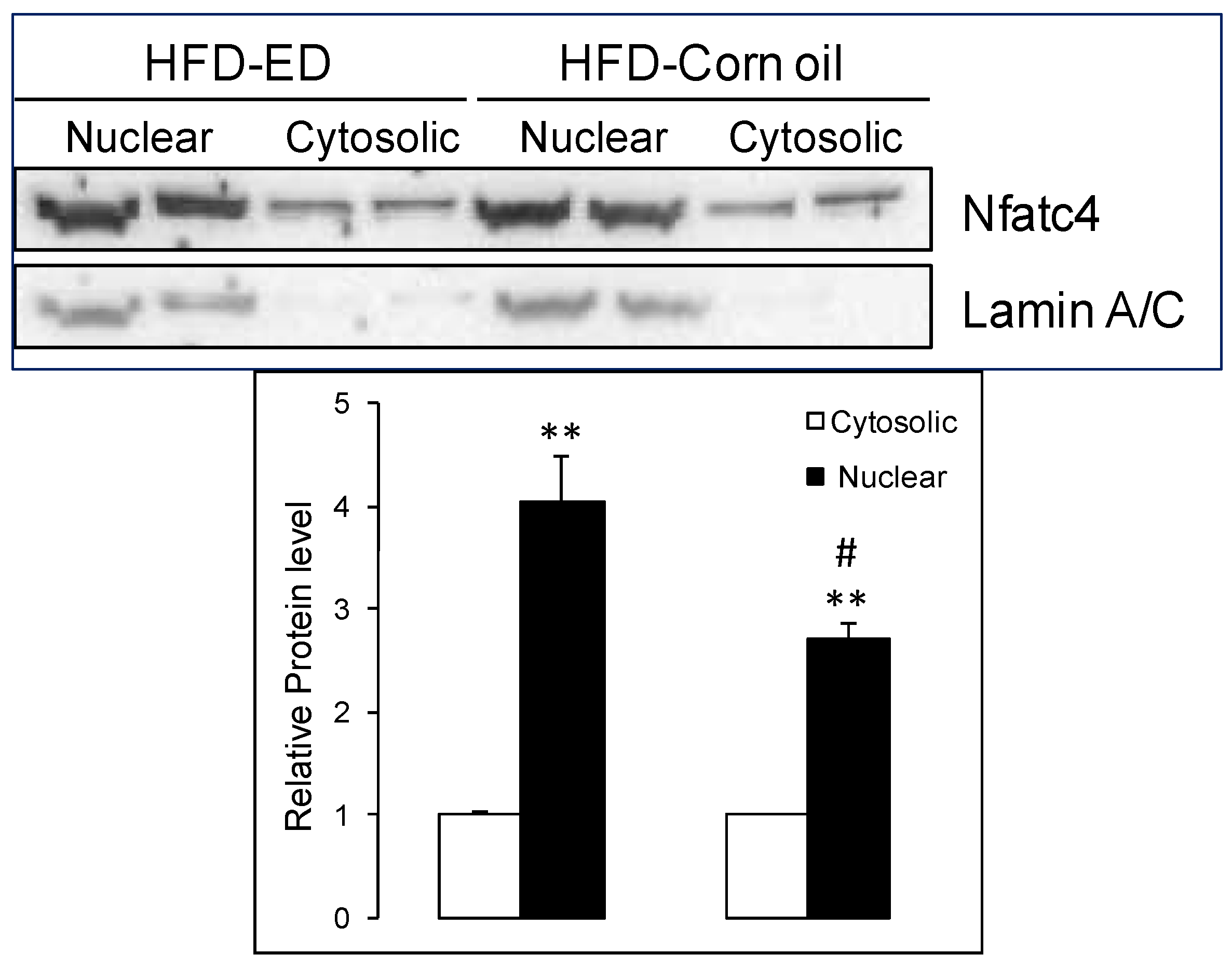 Nutrients 08 00543 g003