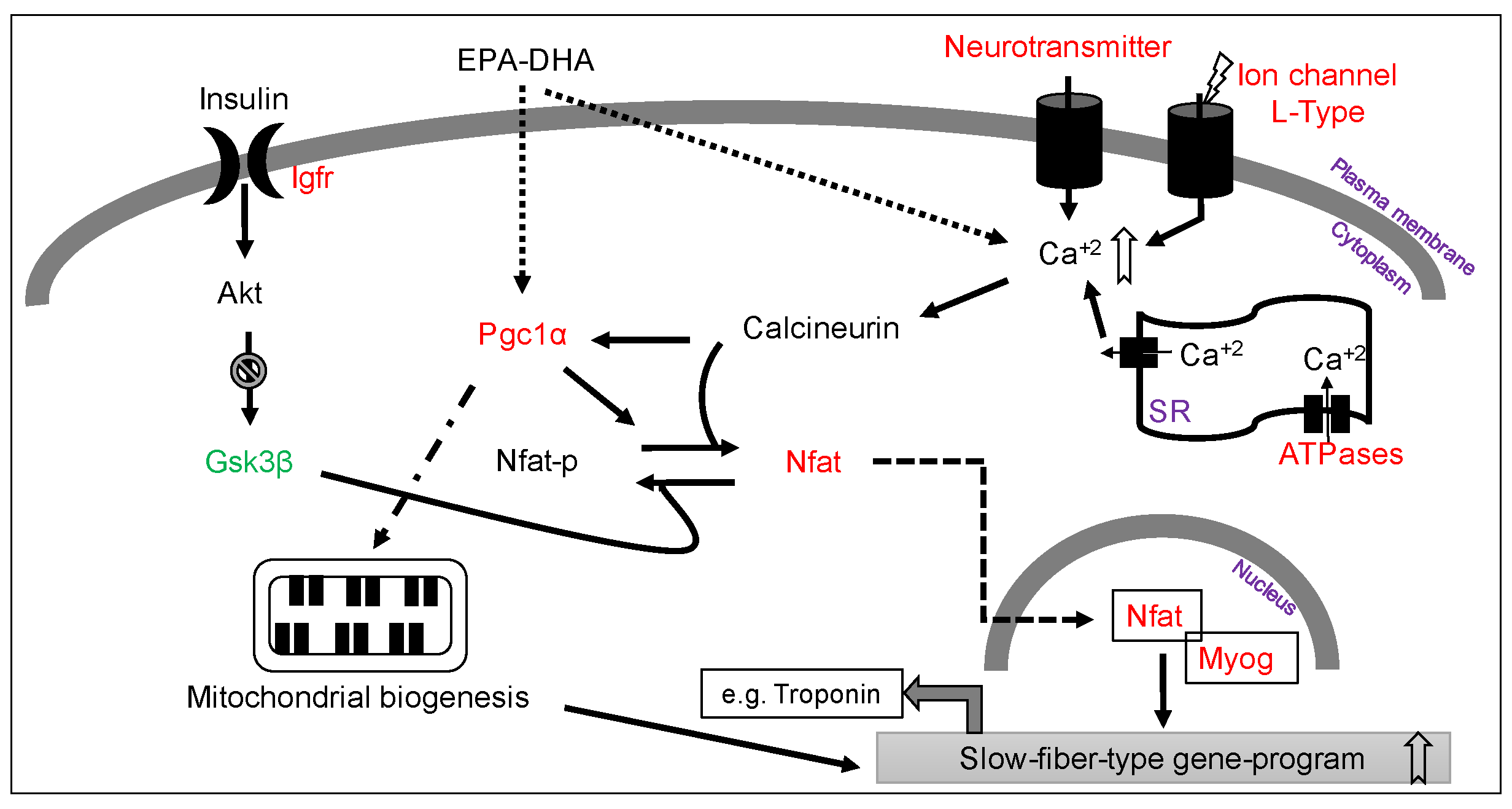 Nutrients 08 00543 g004