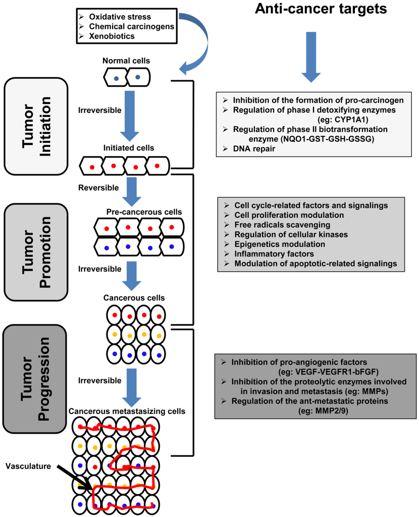 Nutrients. Biogenic classification of chemical elements 87 Nutrients. Biogenic classification of chemical elements 23