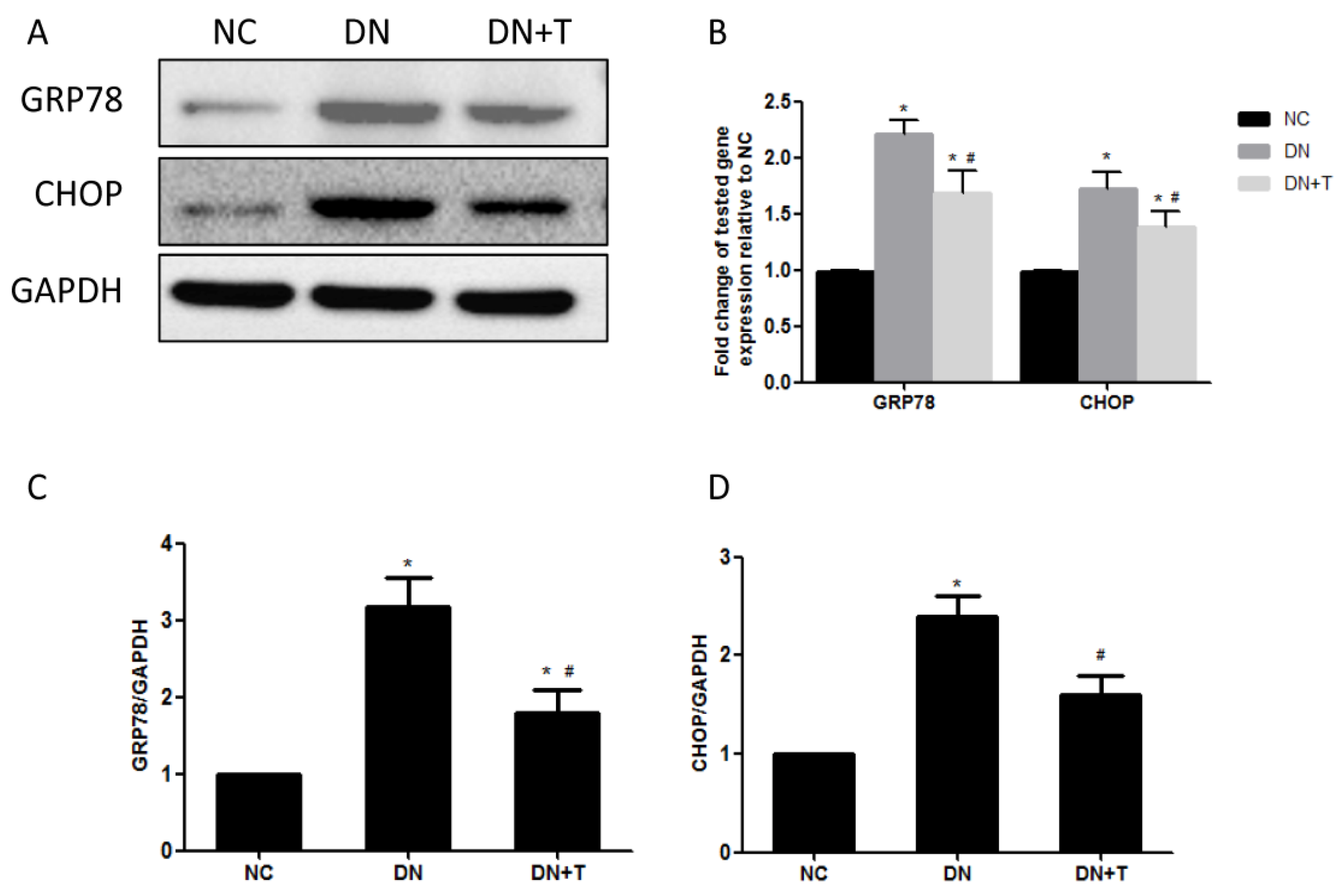 Nutrients 08 00589 g004