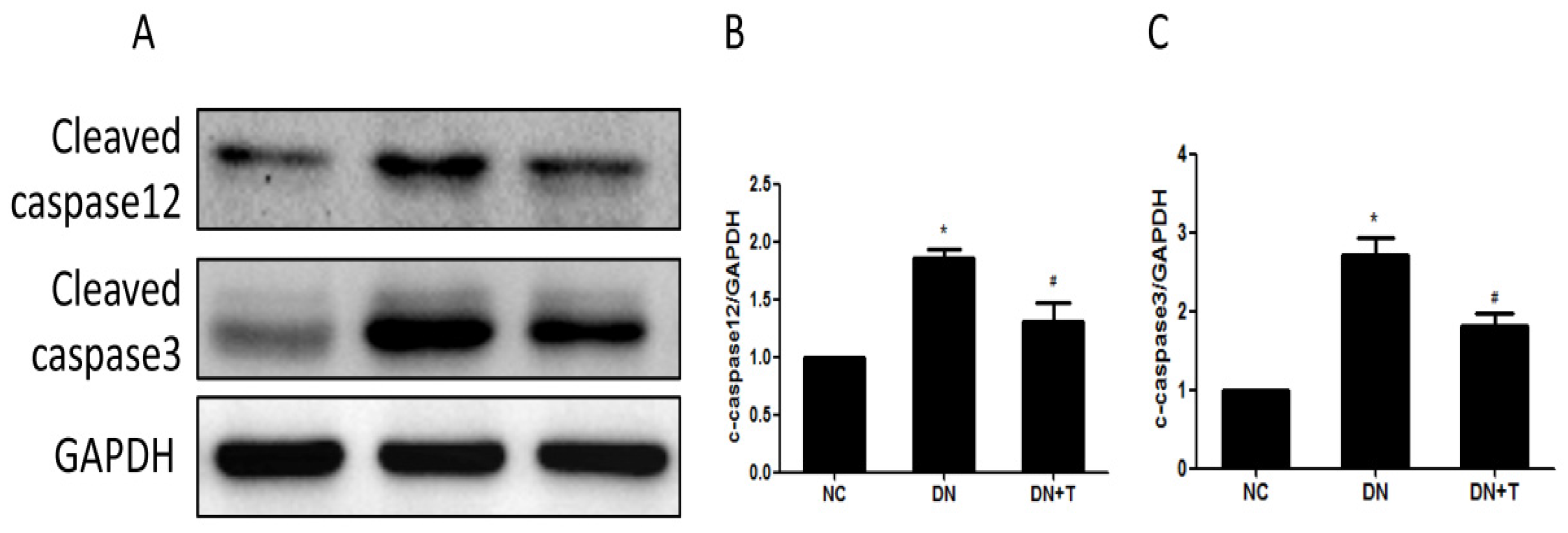 Nutrients 08 00589 g005