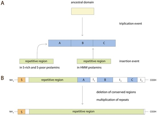 Nutrients | Free Full-Text | Properties of Gluten Intolerance 