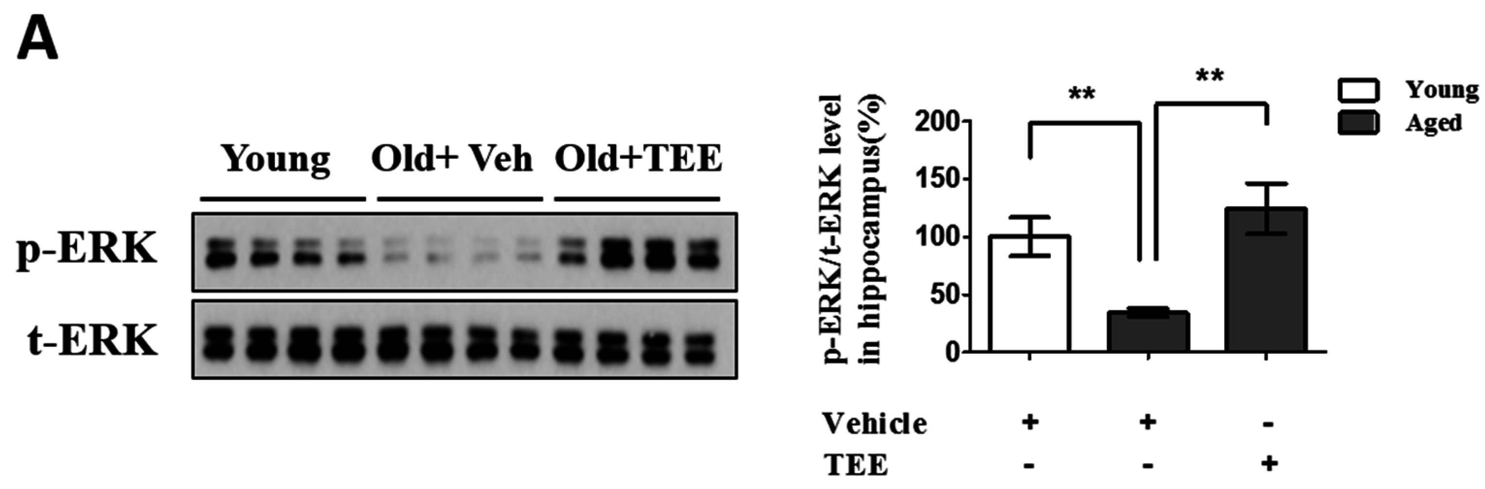 Nutrients 08 00679 g005a
