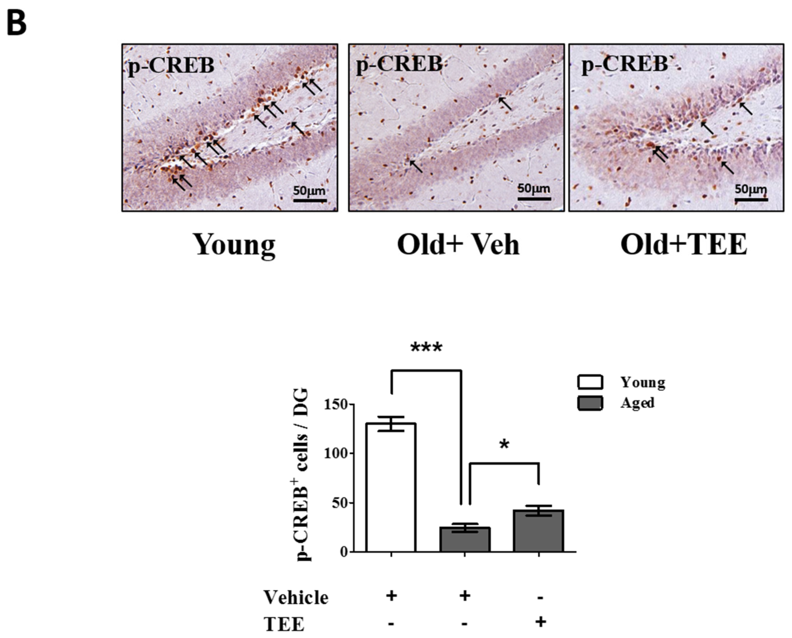 Nutrients 08 00679 g005b