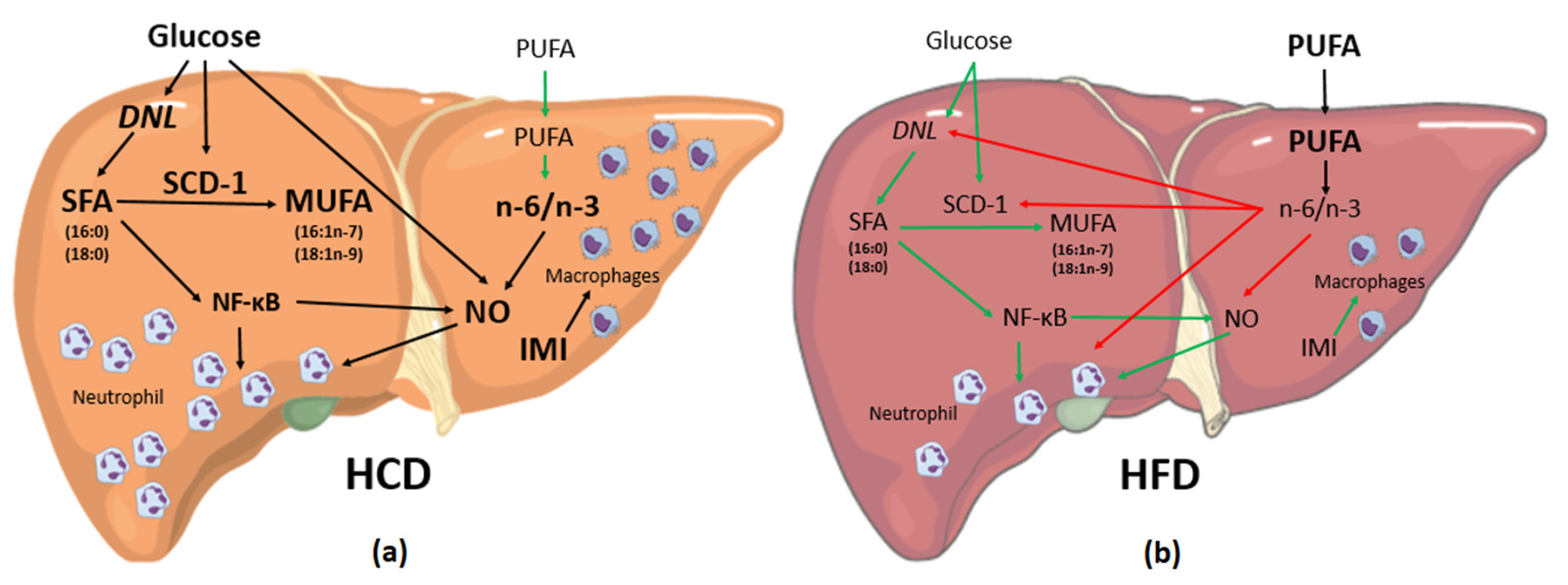 Nutrients 08 00682 g001