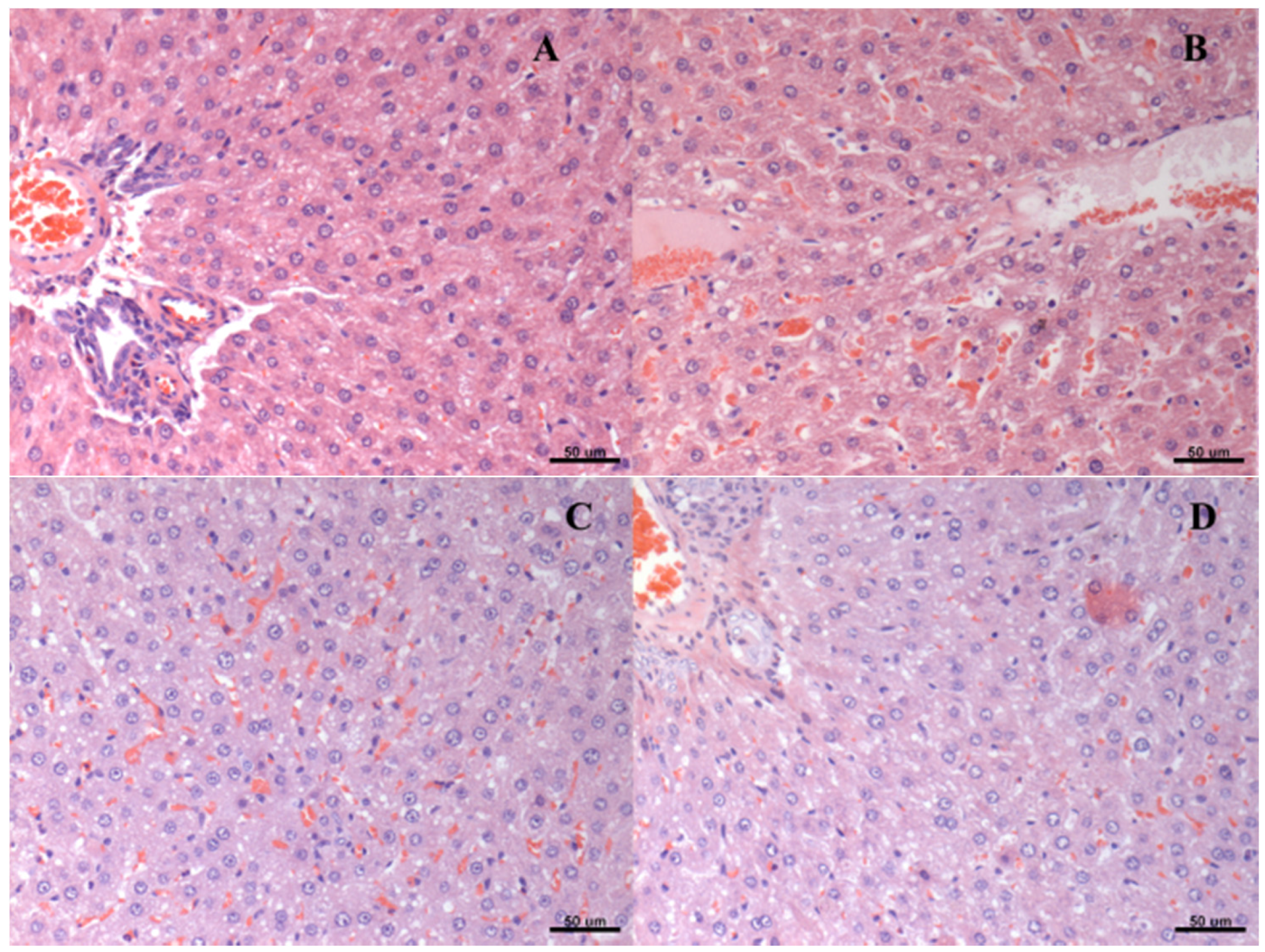 Nutrients 08 00792 g002