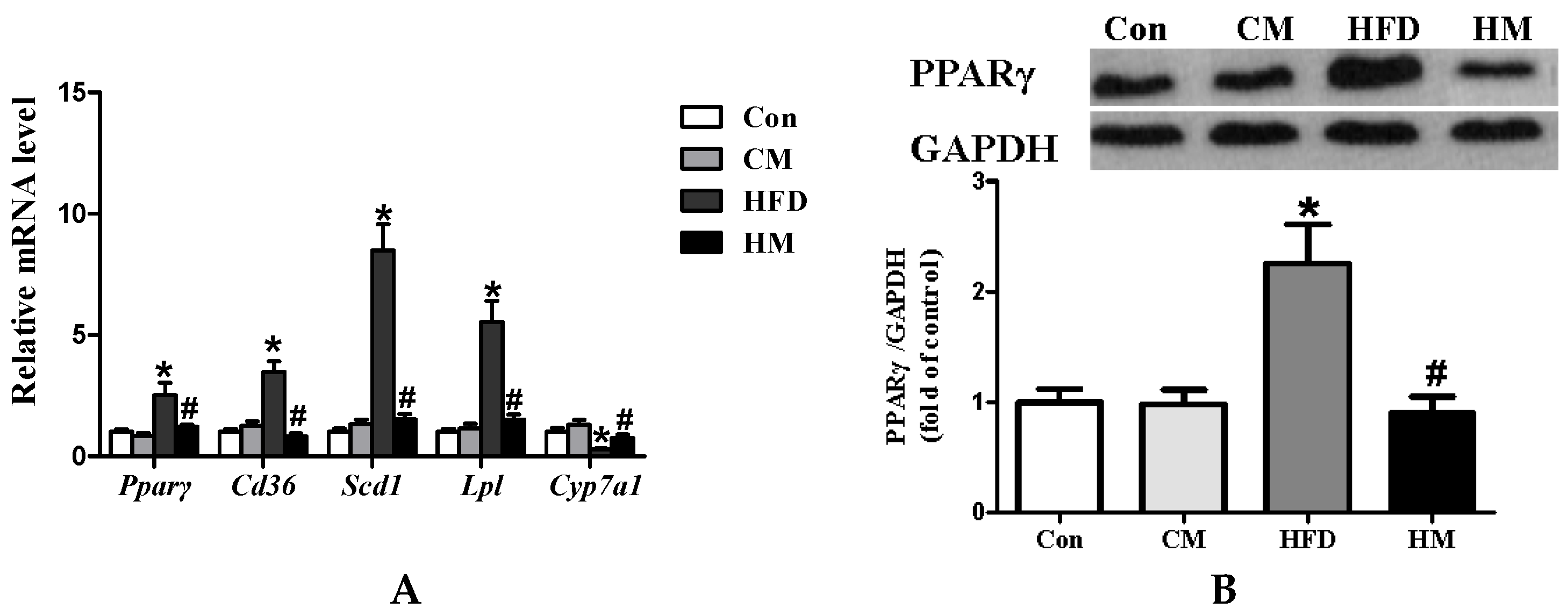 Nutrients 08 00799 g004 550