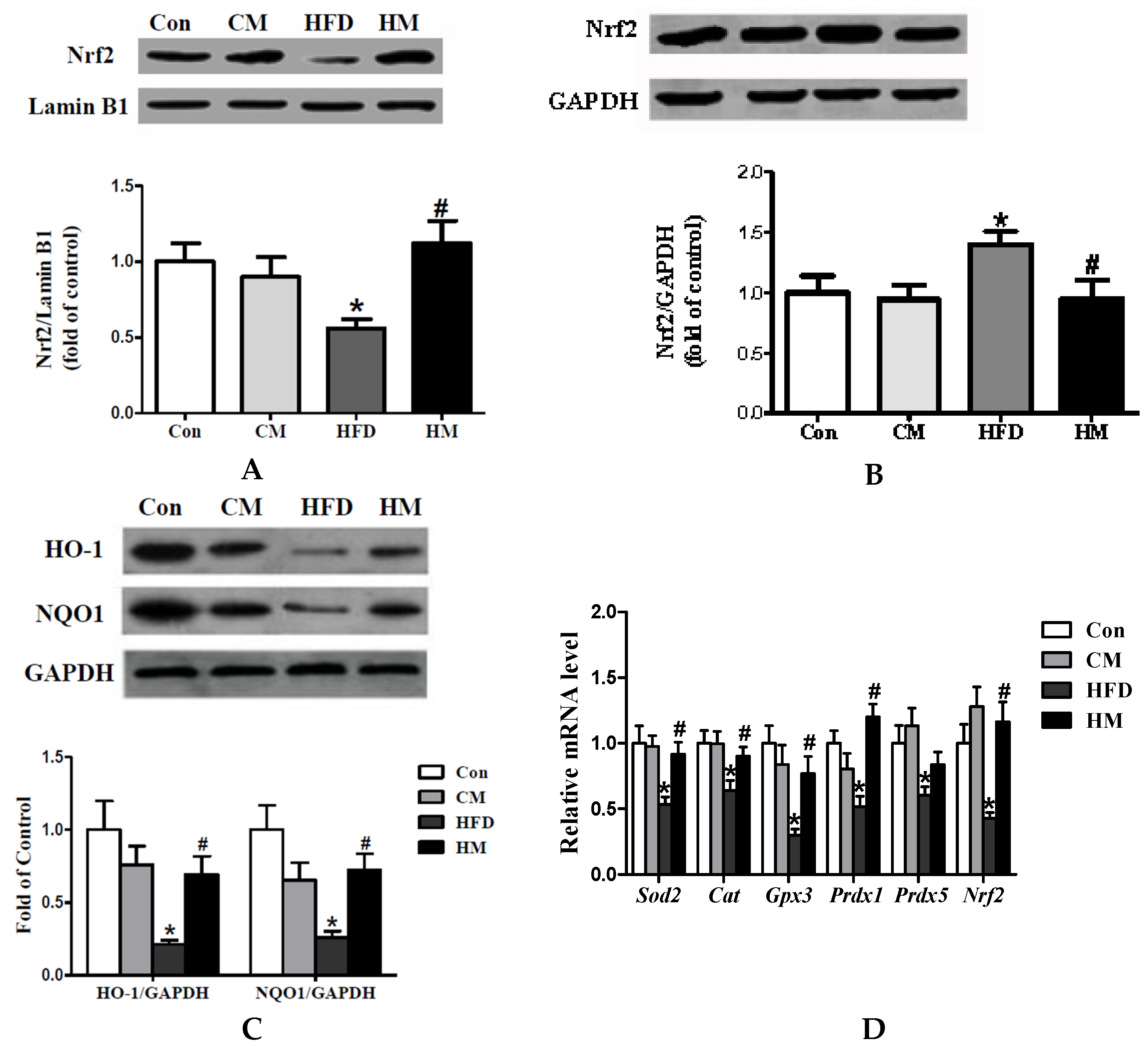 Nutrients 08 00799 g006 550