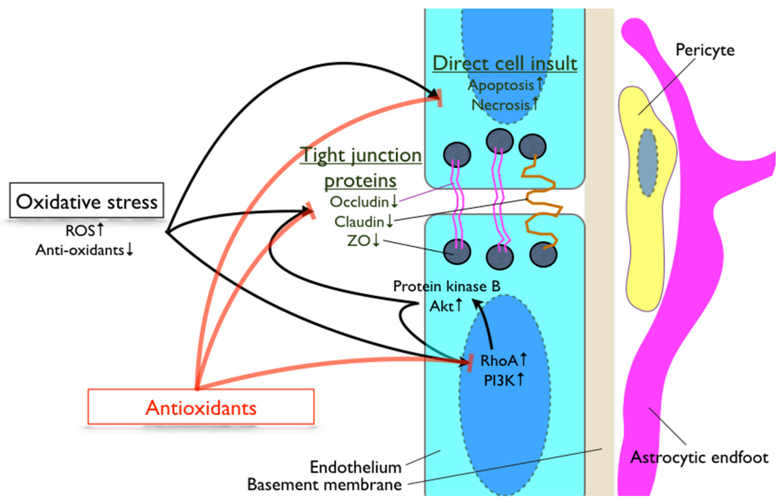 Nutrients 08 00828 g001