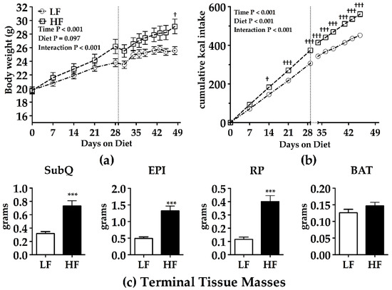 Application of an In Vivo Hepatic Triacylglycerol Production