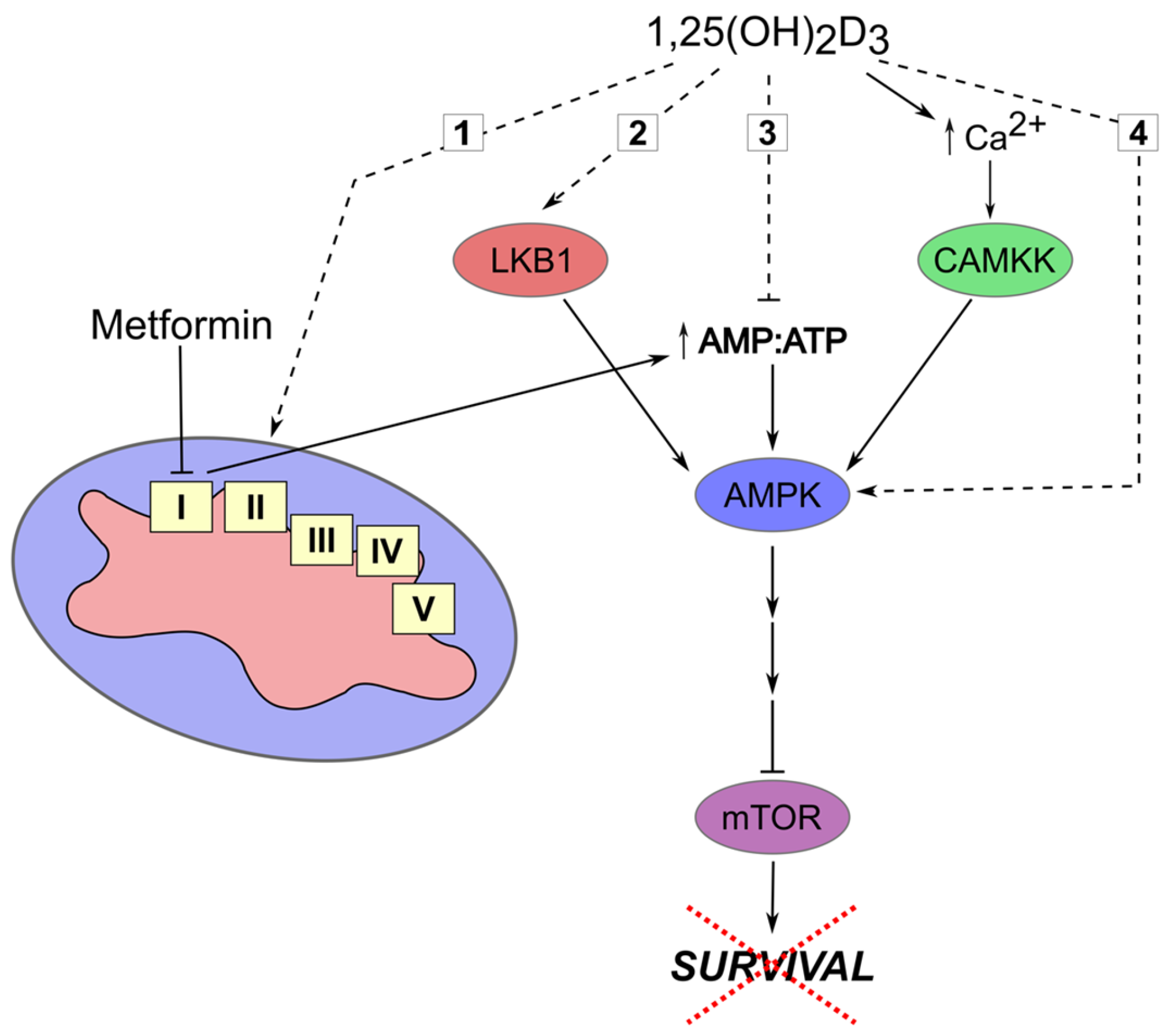 Nutrients 09 00087 g001