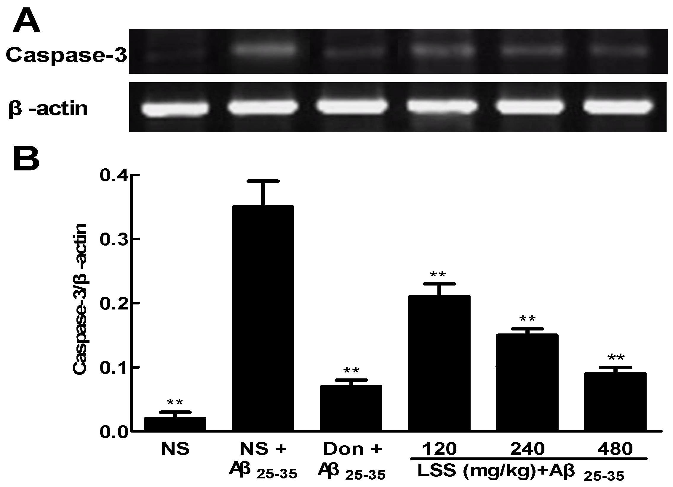 Nutrients 09 00105 g006