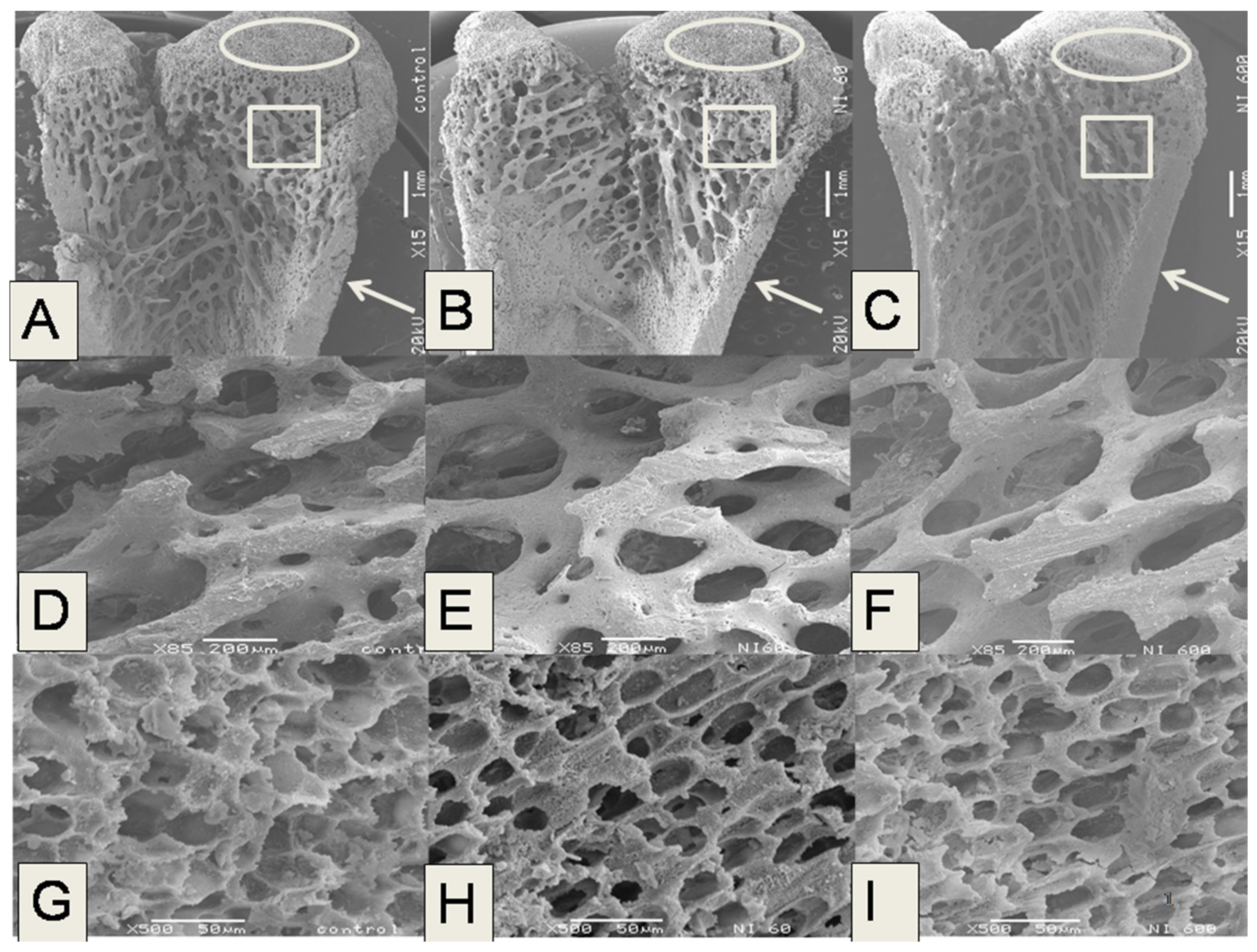 Nutrients 09 00108 g003 550