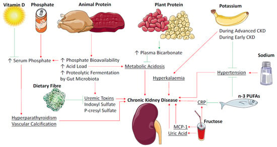 Nutrients | Special Issue : Nutrition and Chronic Kidney Disease
