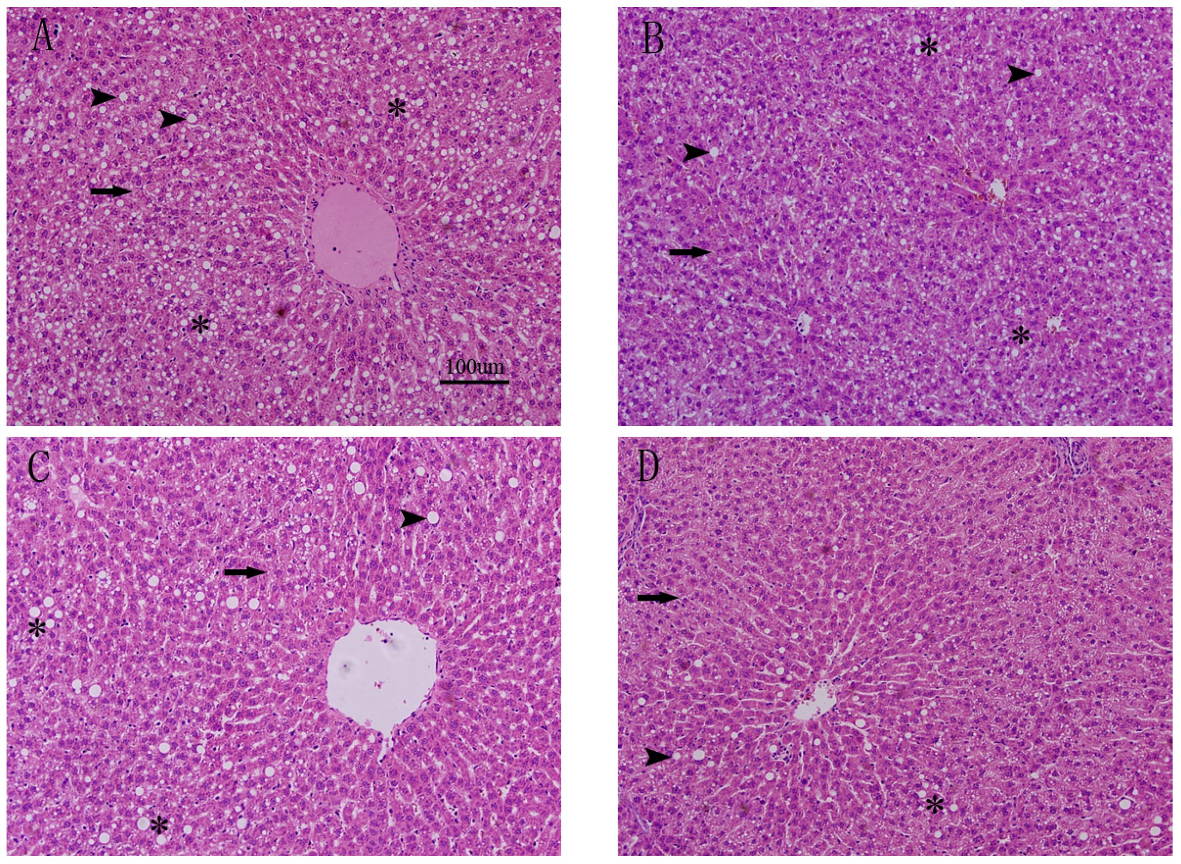 Nutrients 09 00271 g002a 550