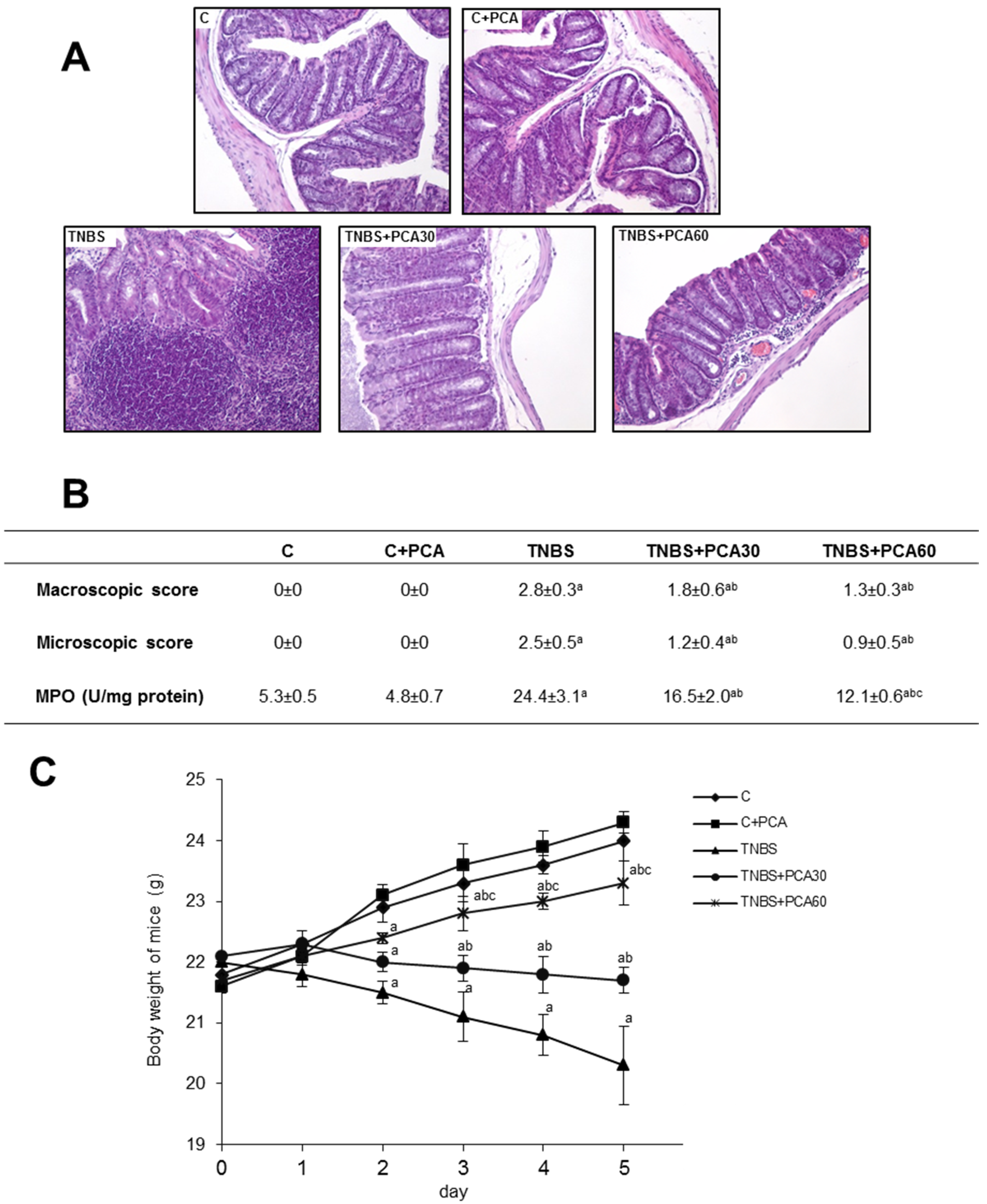 Nutrients 09 00288 g001